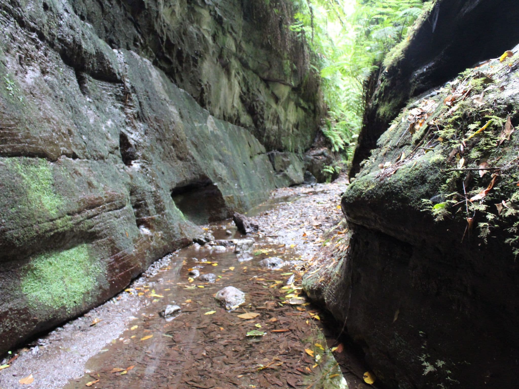 Gallery Image 38