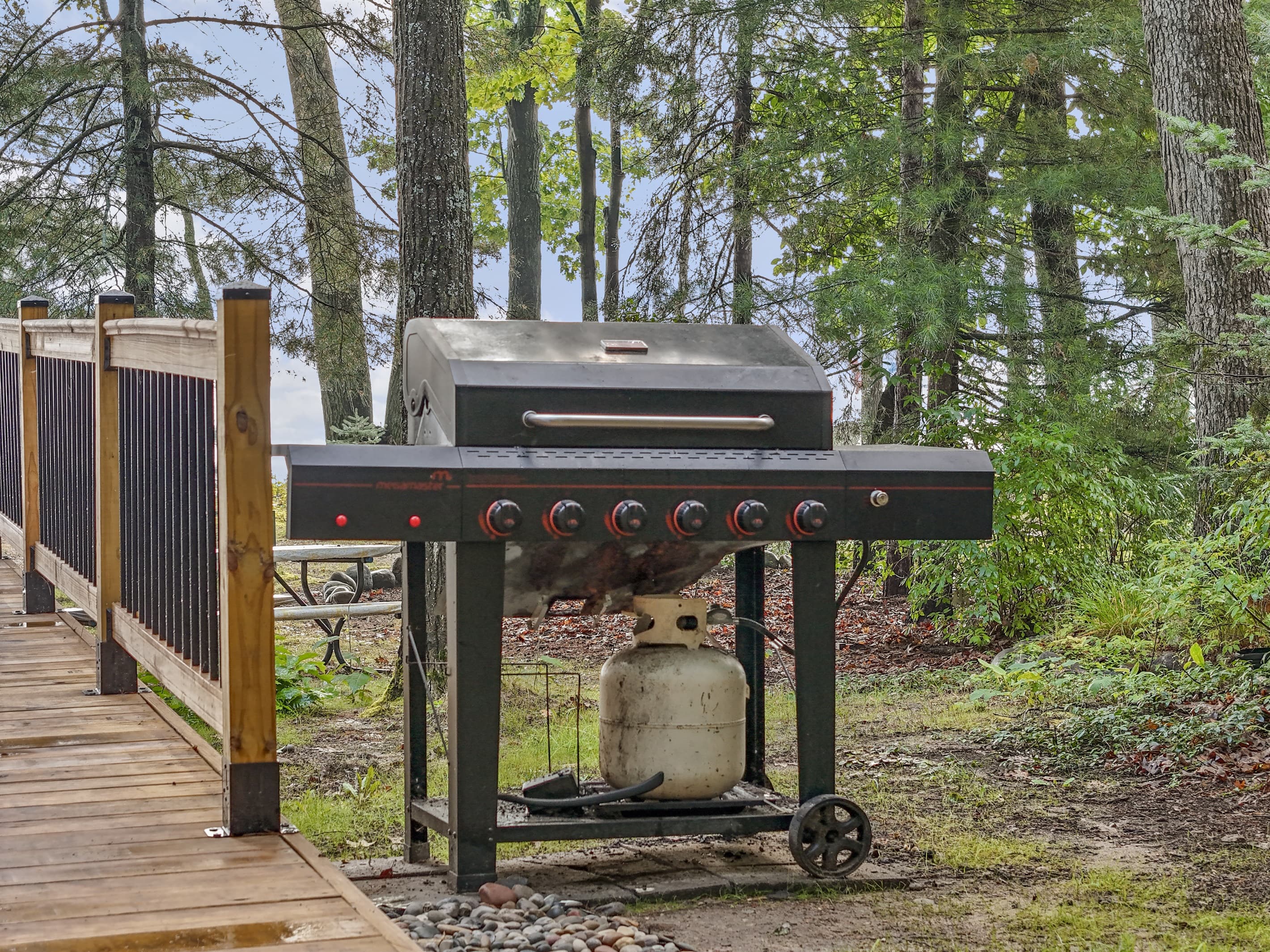 Grill