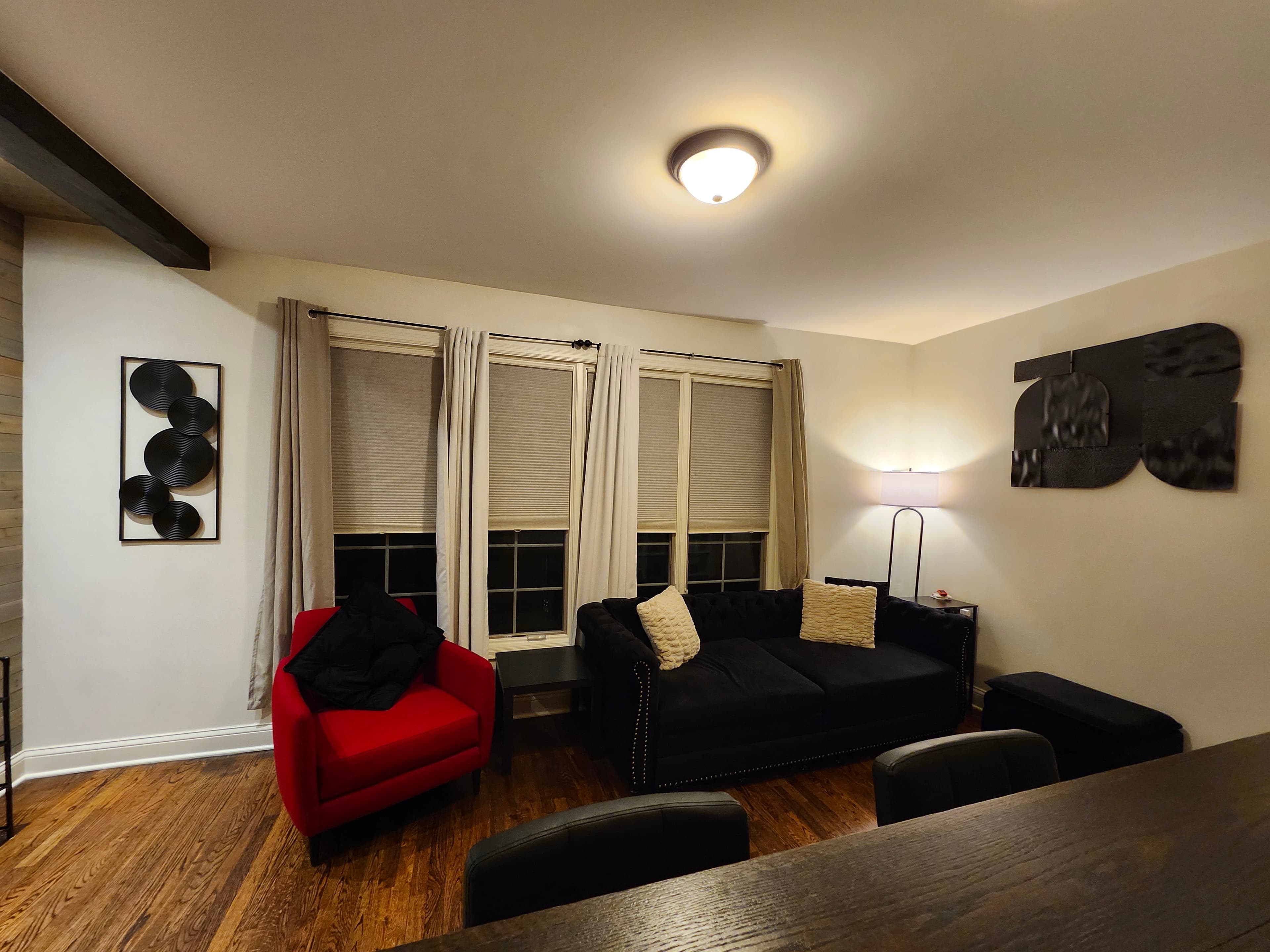 King pullout couch