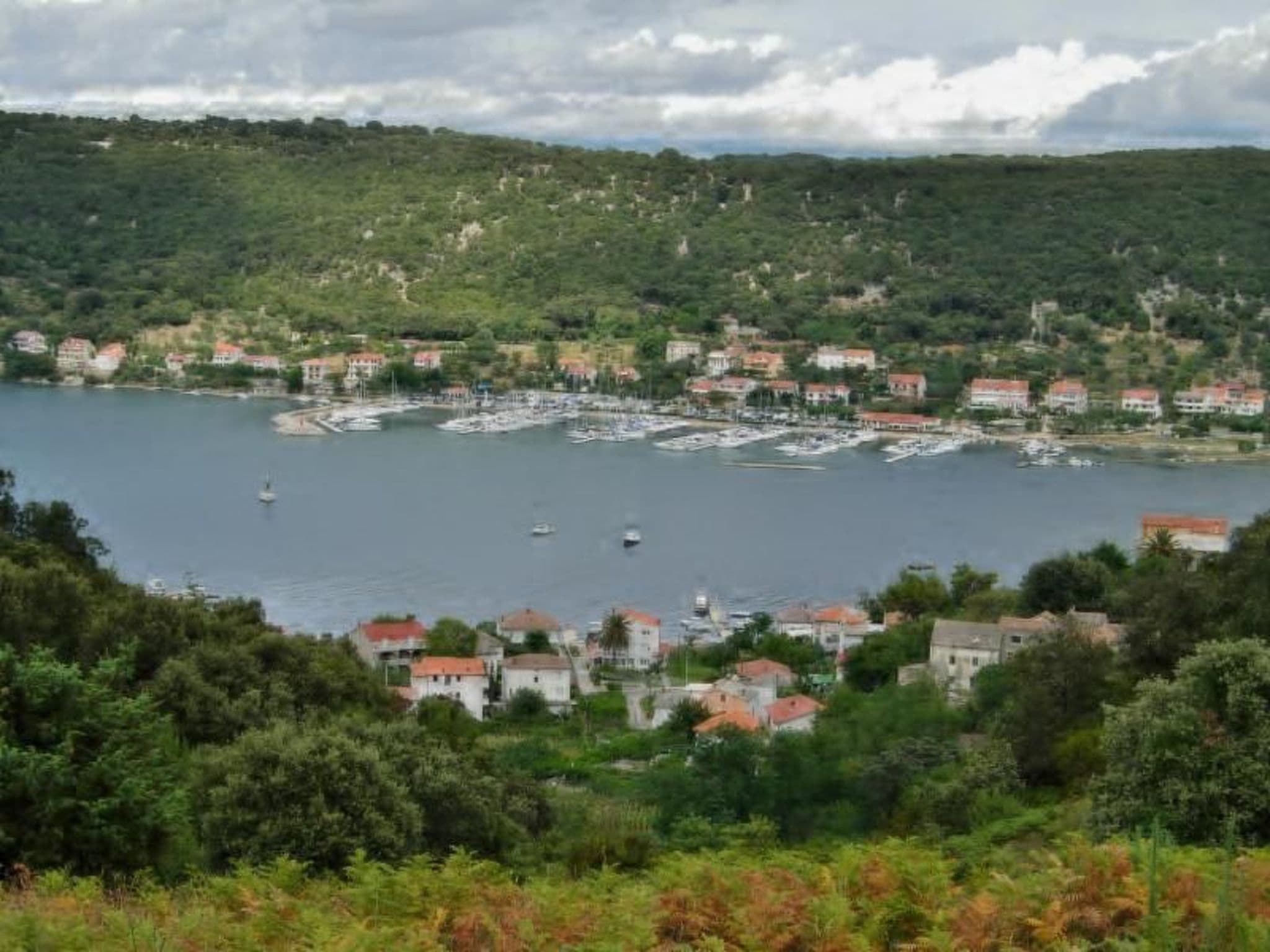 View