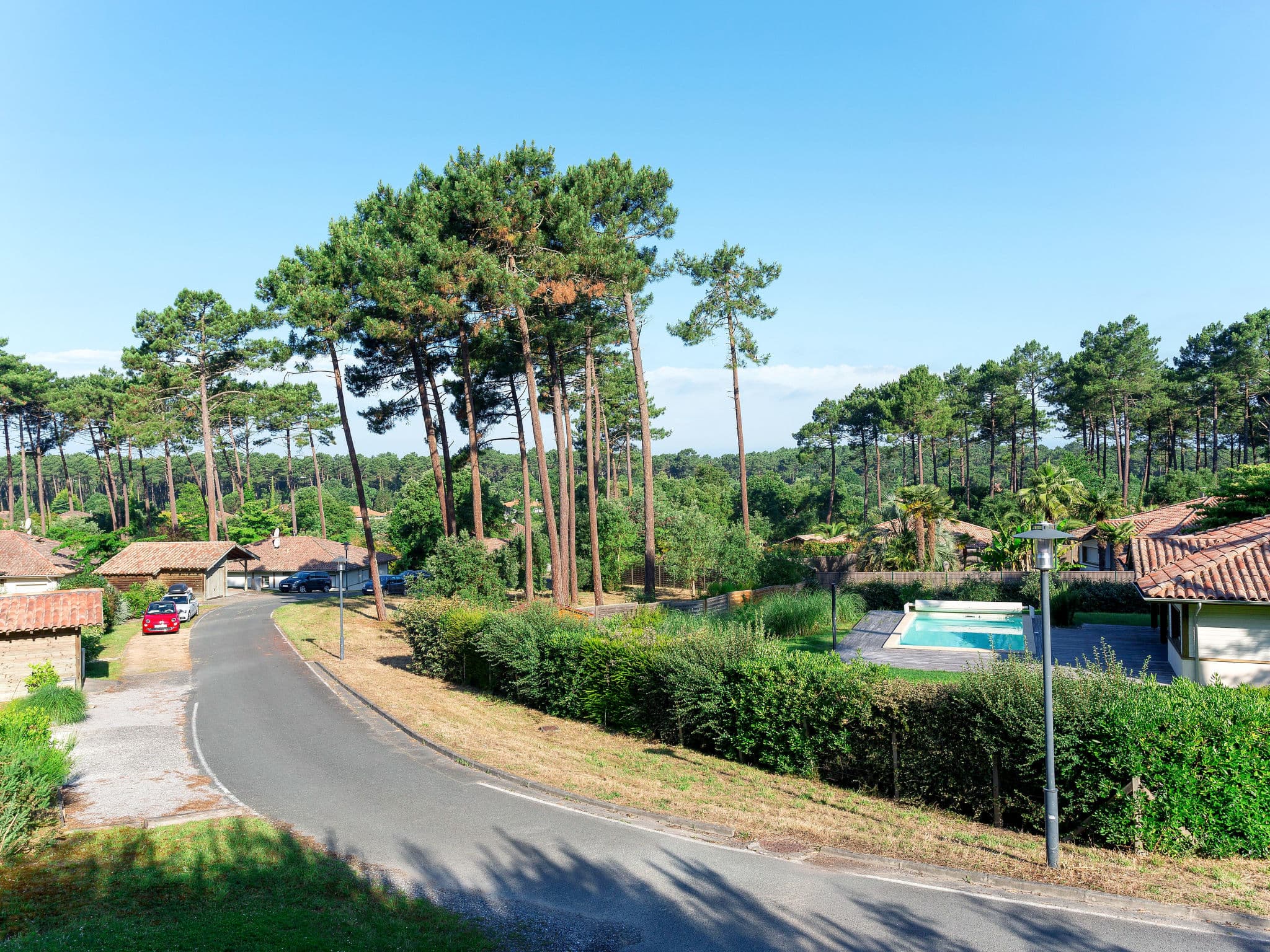View