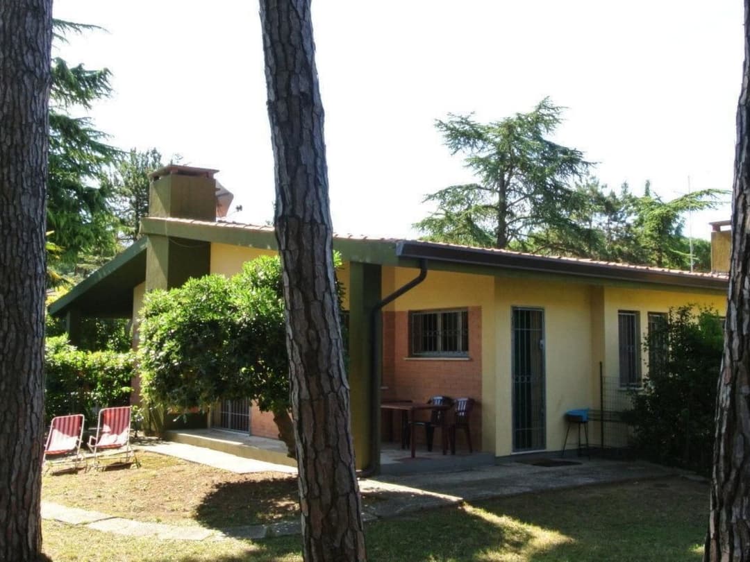 Large Image