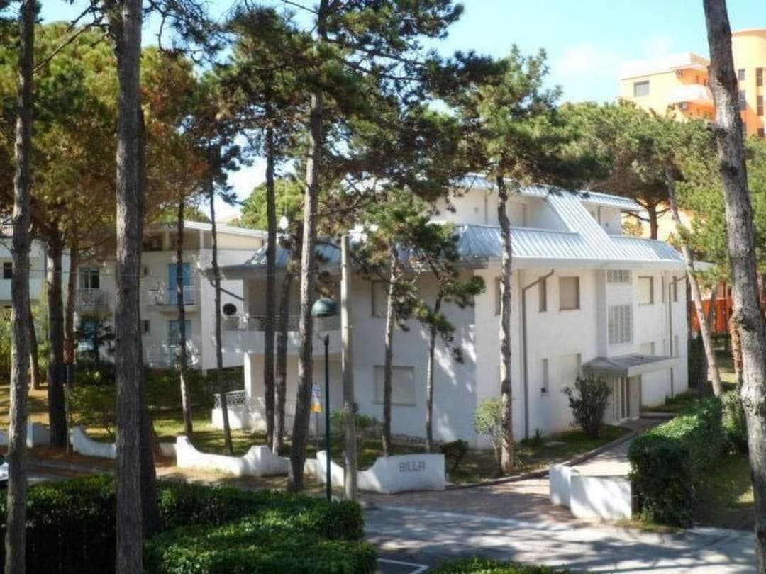 Large Image
