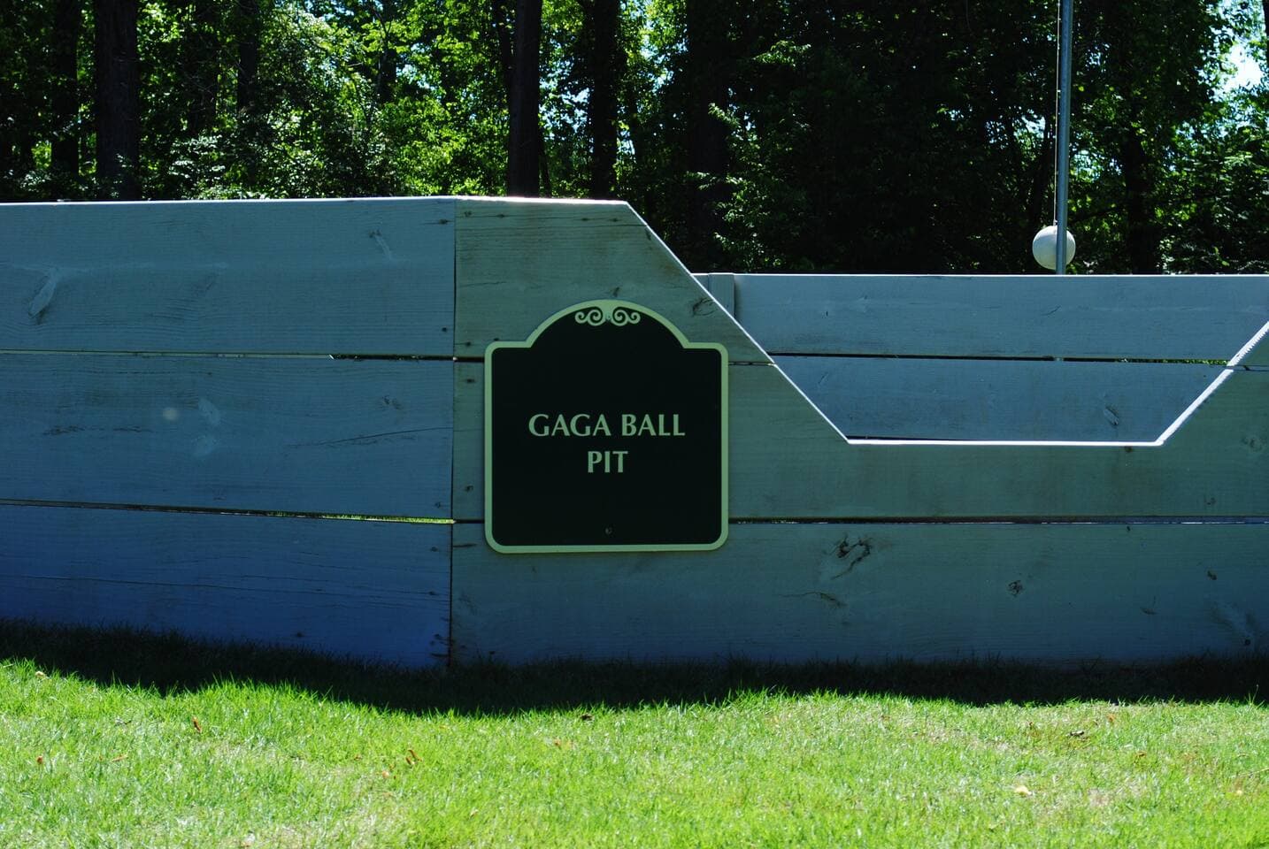 Gaga Ball!