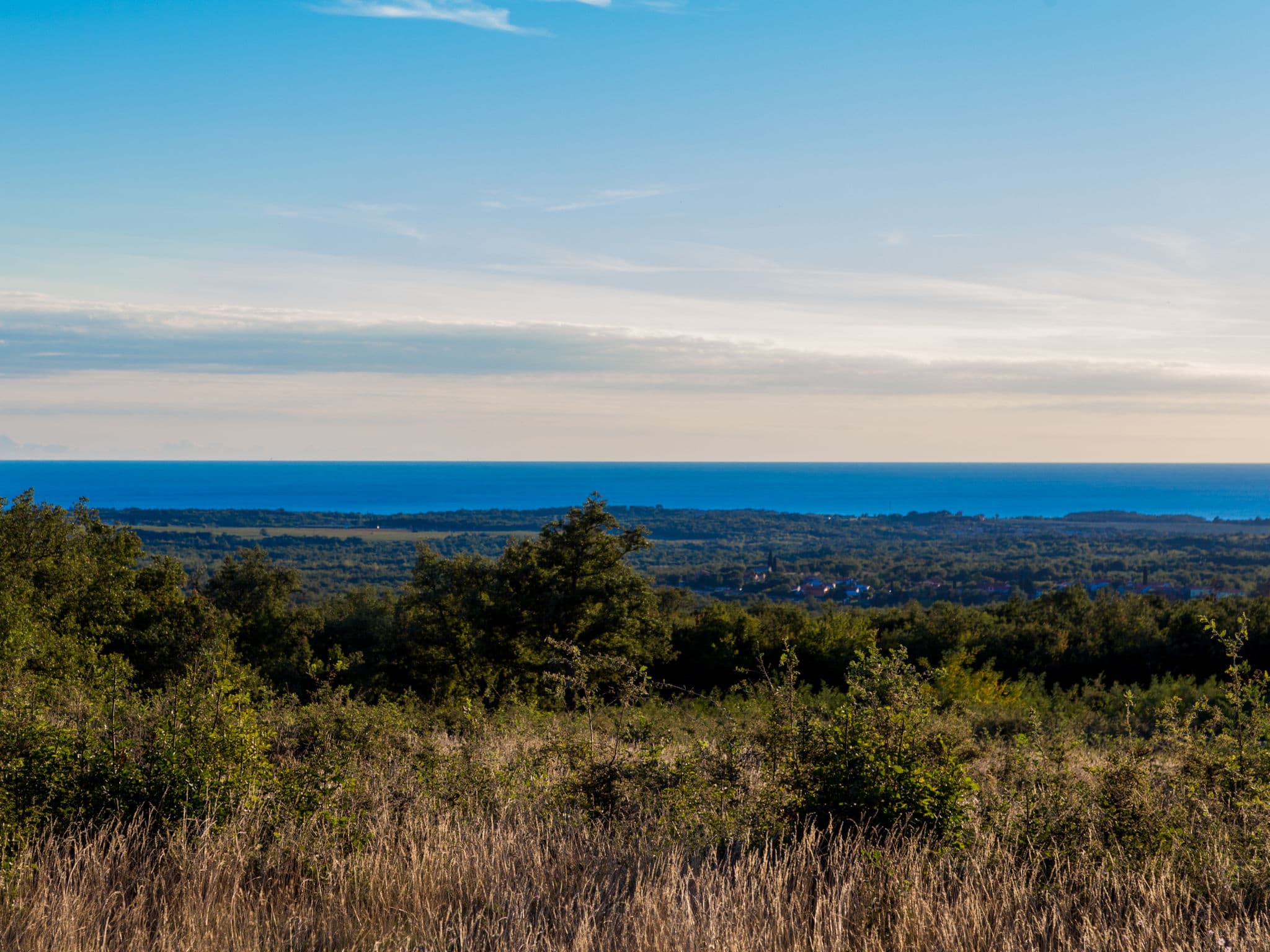 View