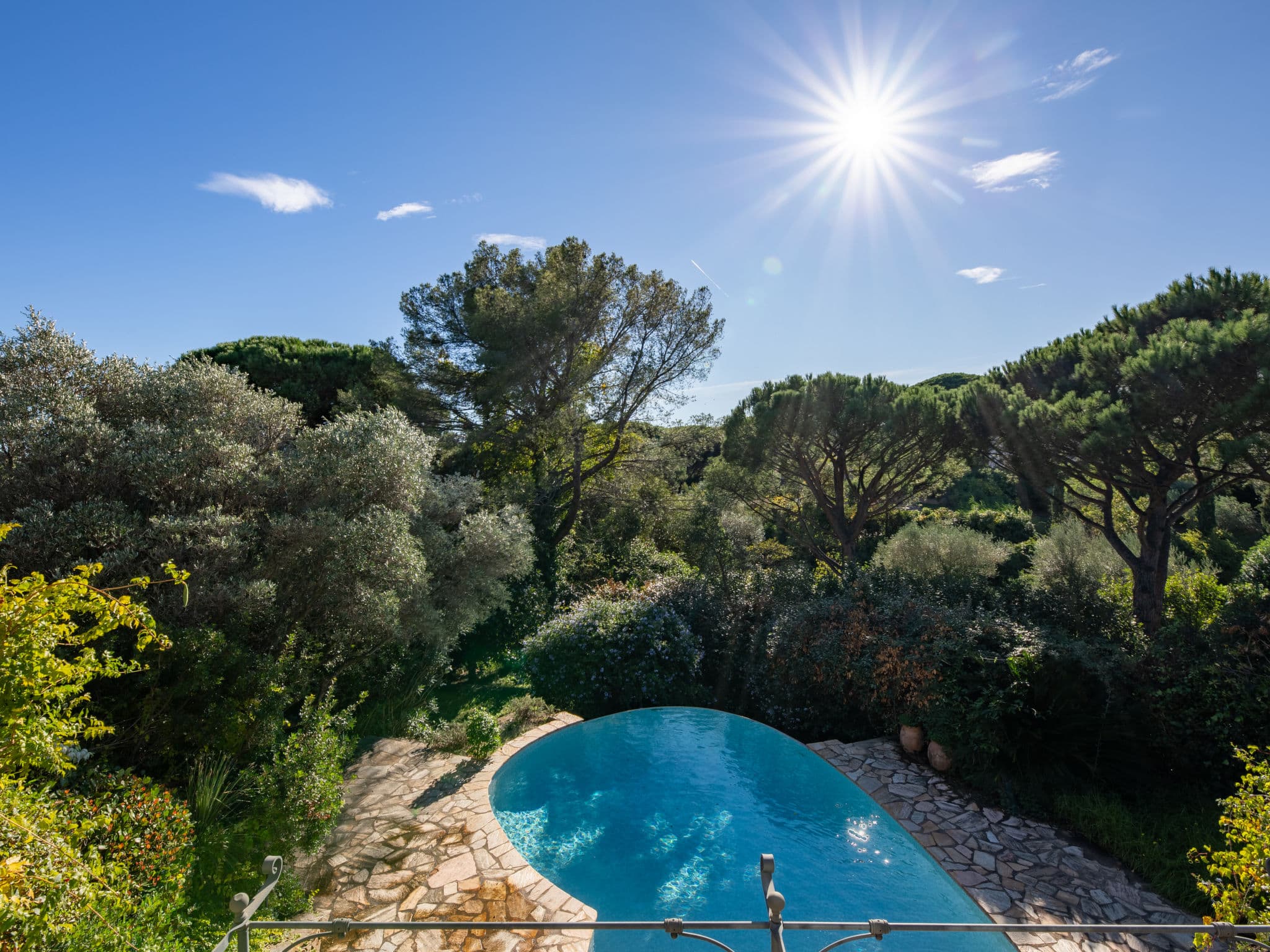 View
