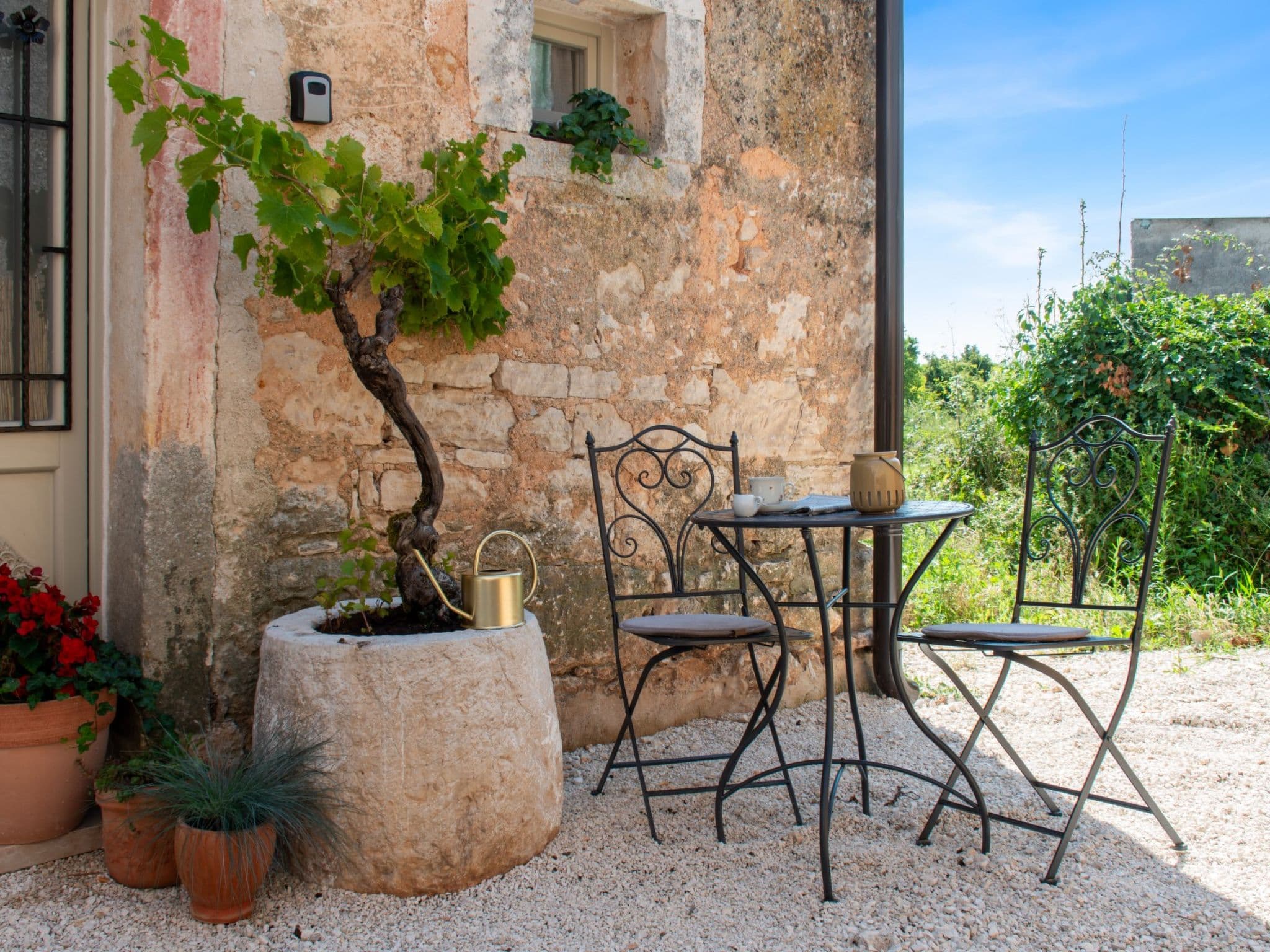 Terrace