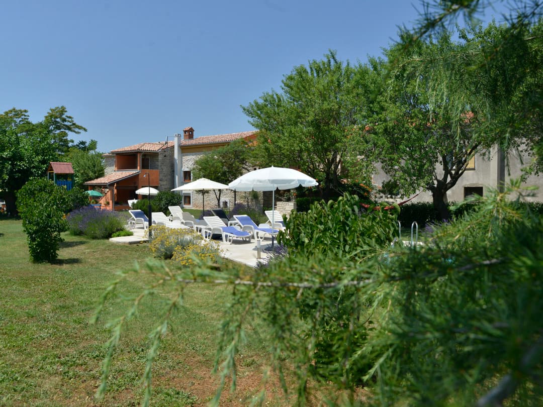 Large Image