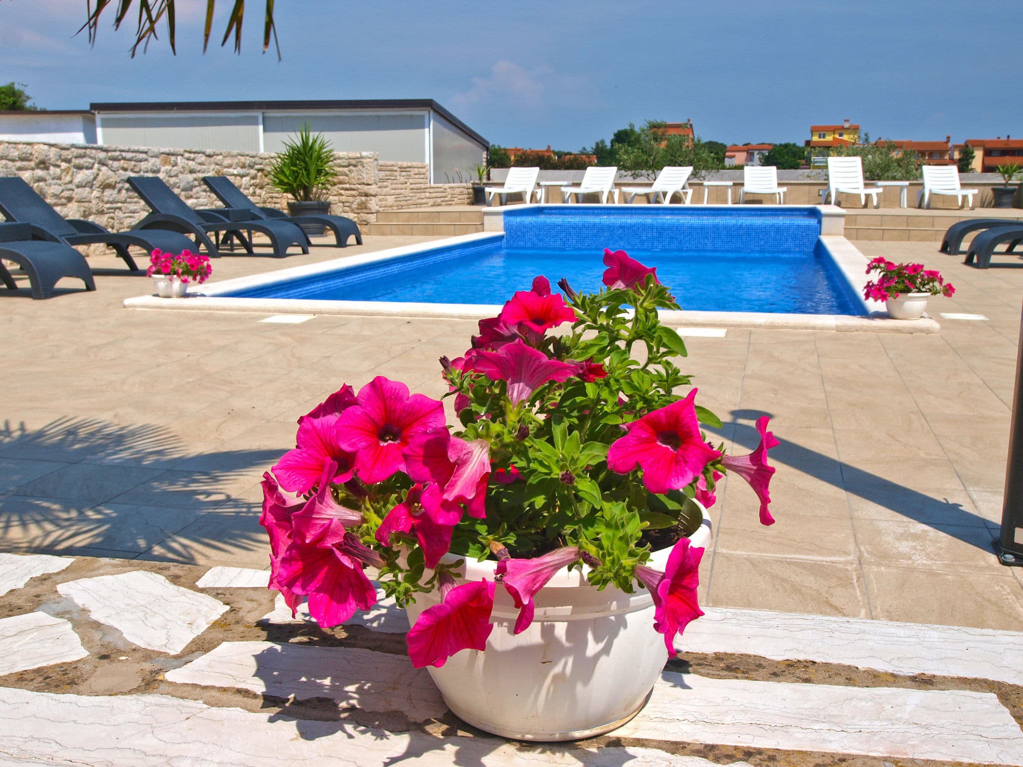 Pool Outdoor