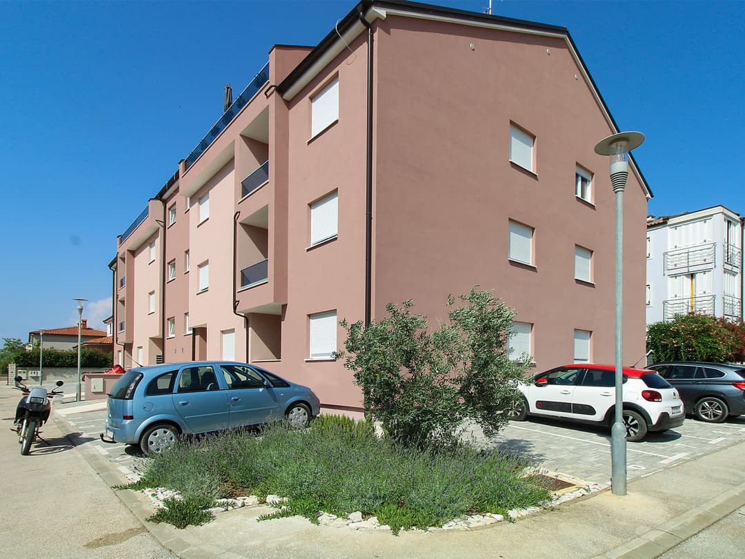 Large Image