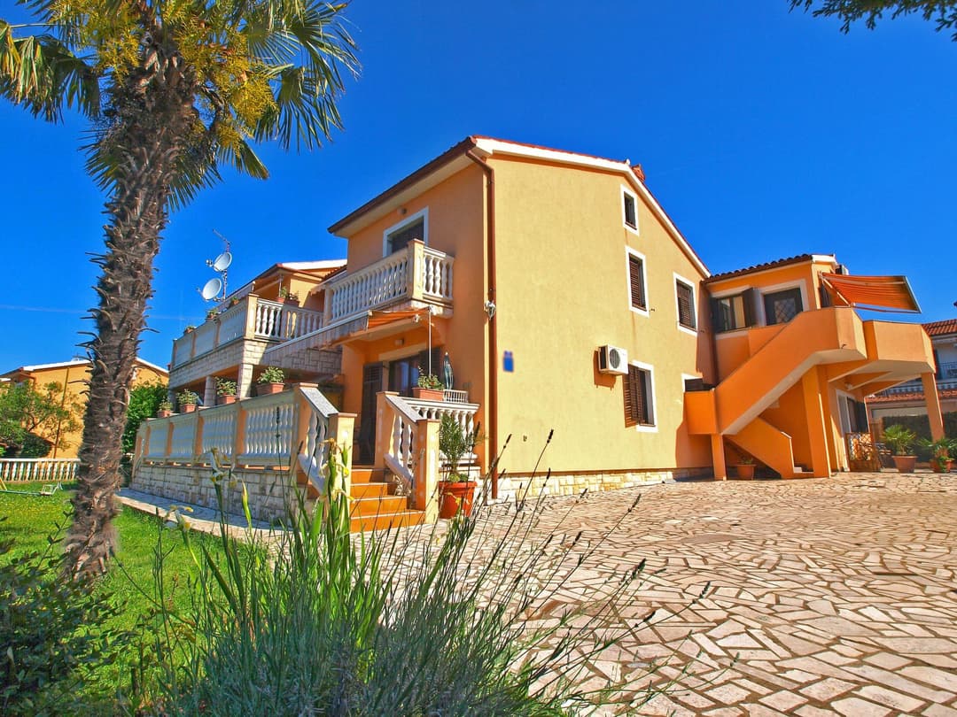 Large Image