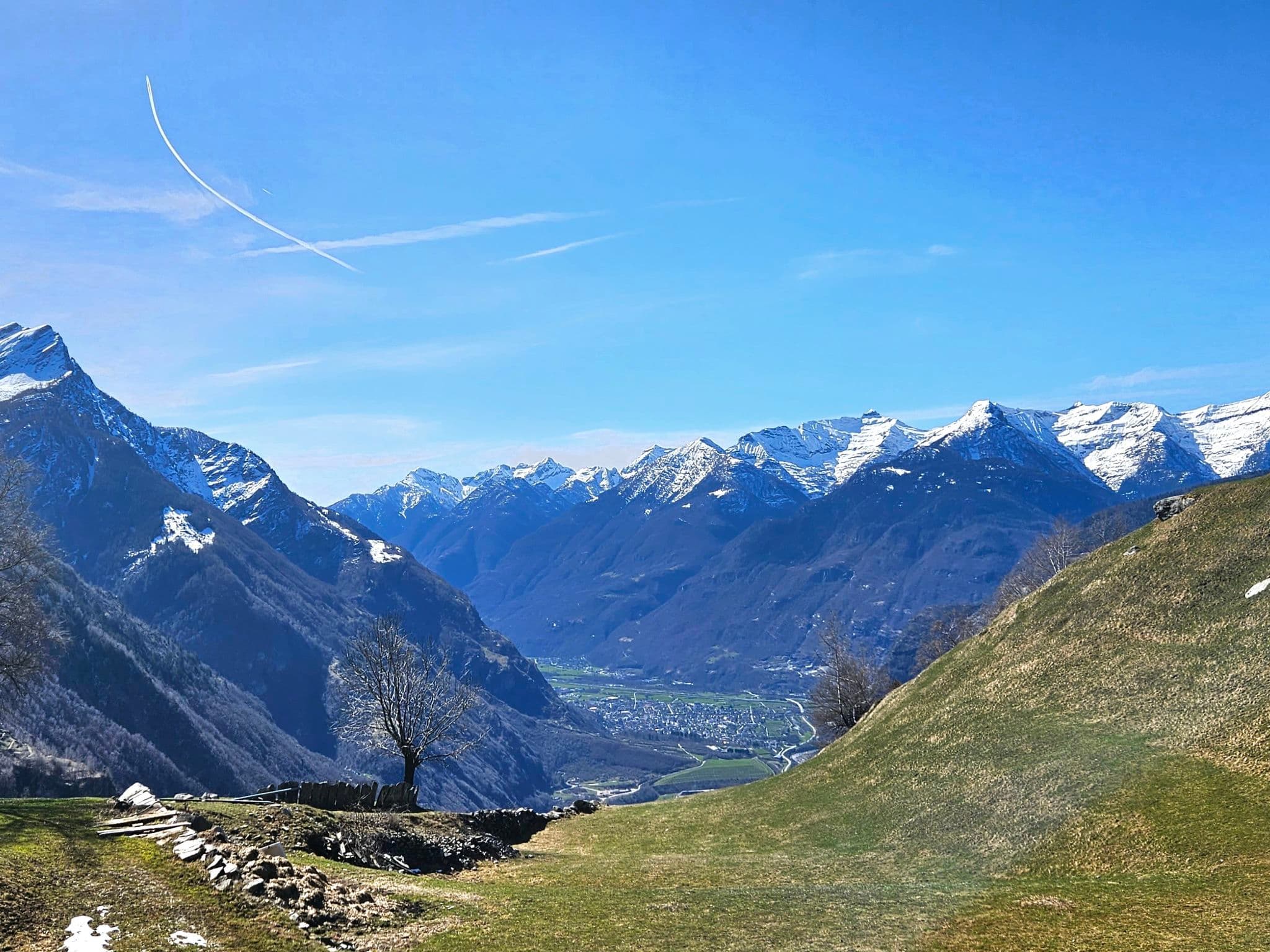 View