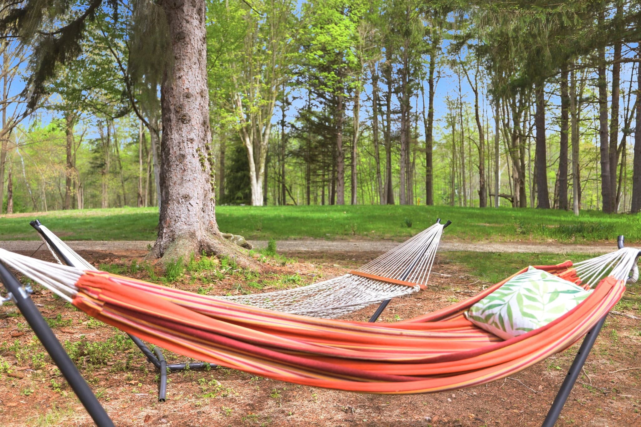 Enjoy a snooze in the hammock.