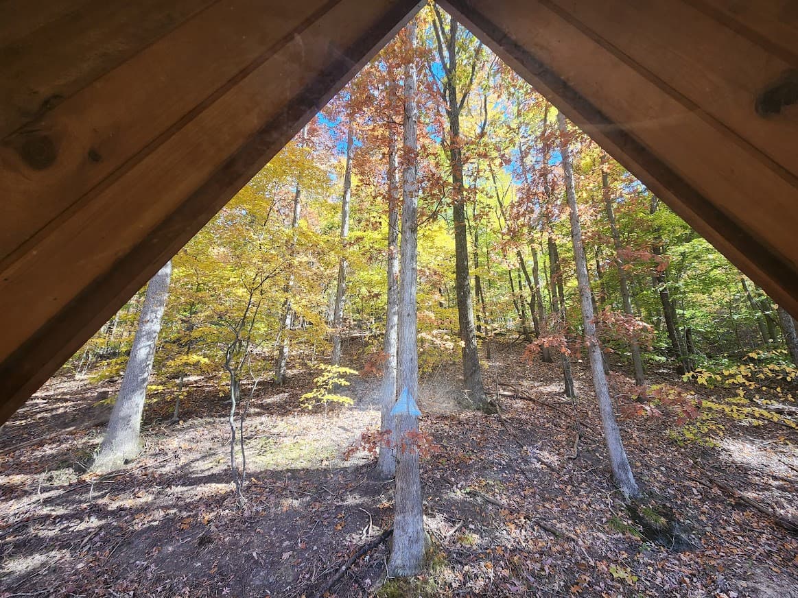 Look at nature while you lay in the loft. 