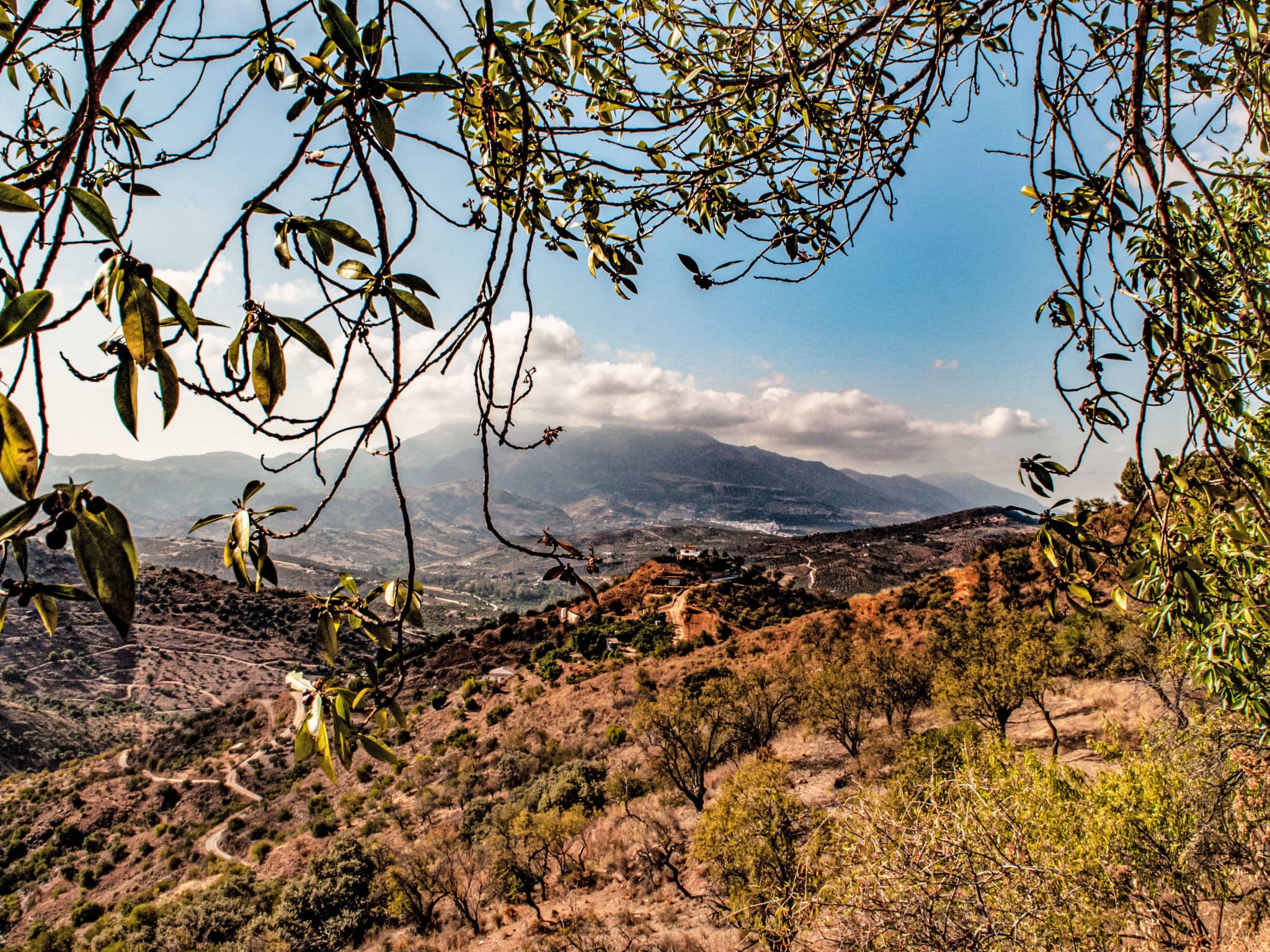 View