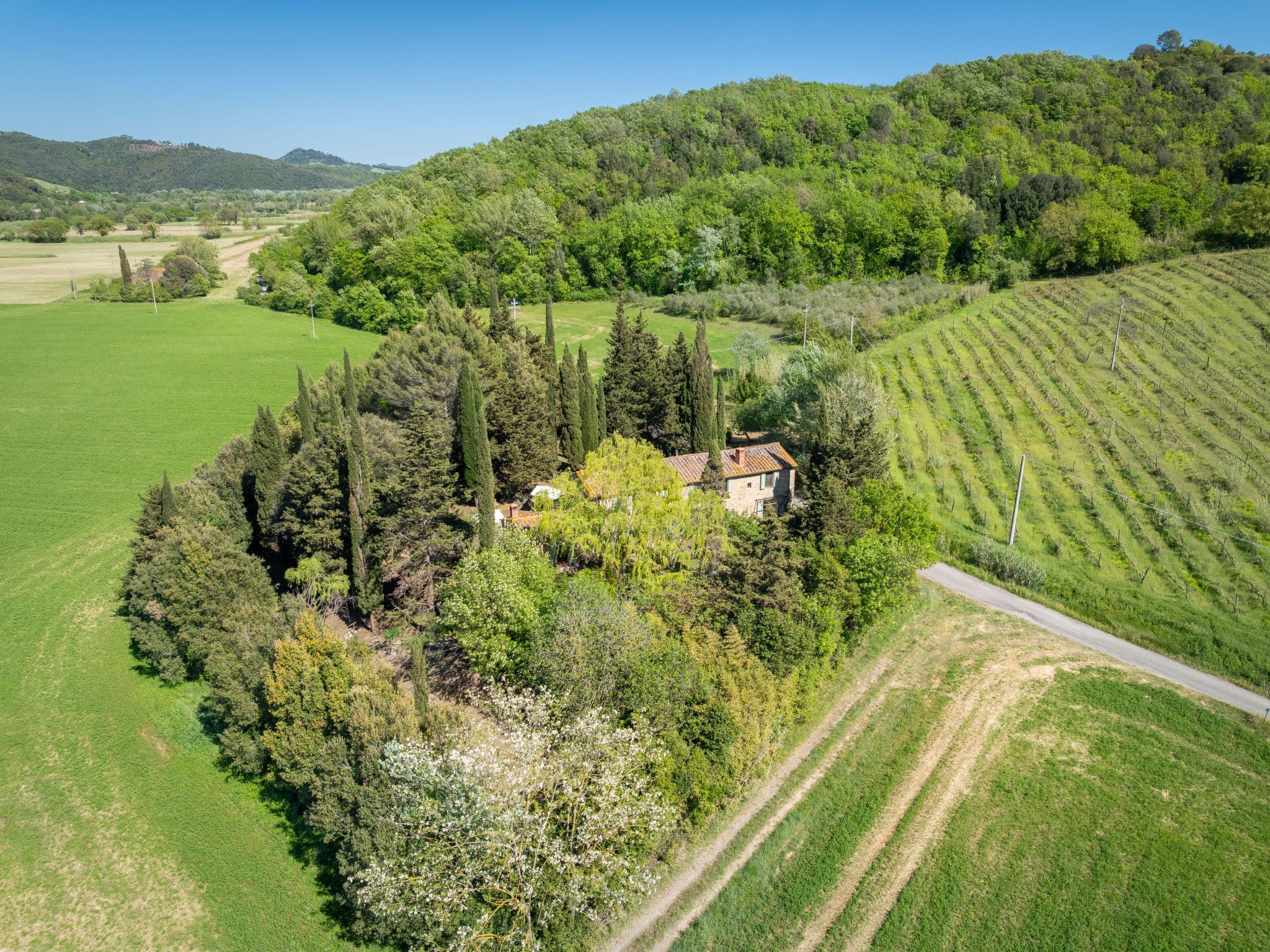 Aerial photography