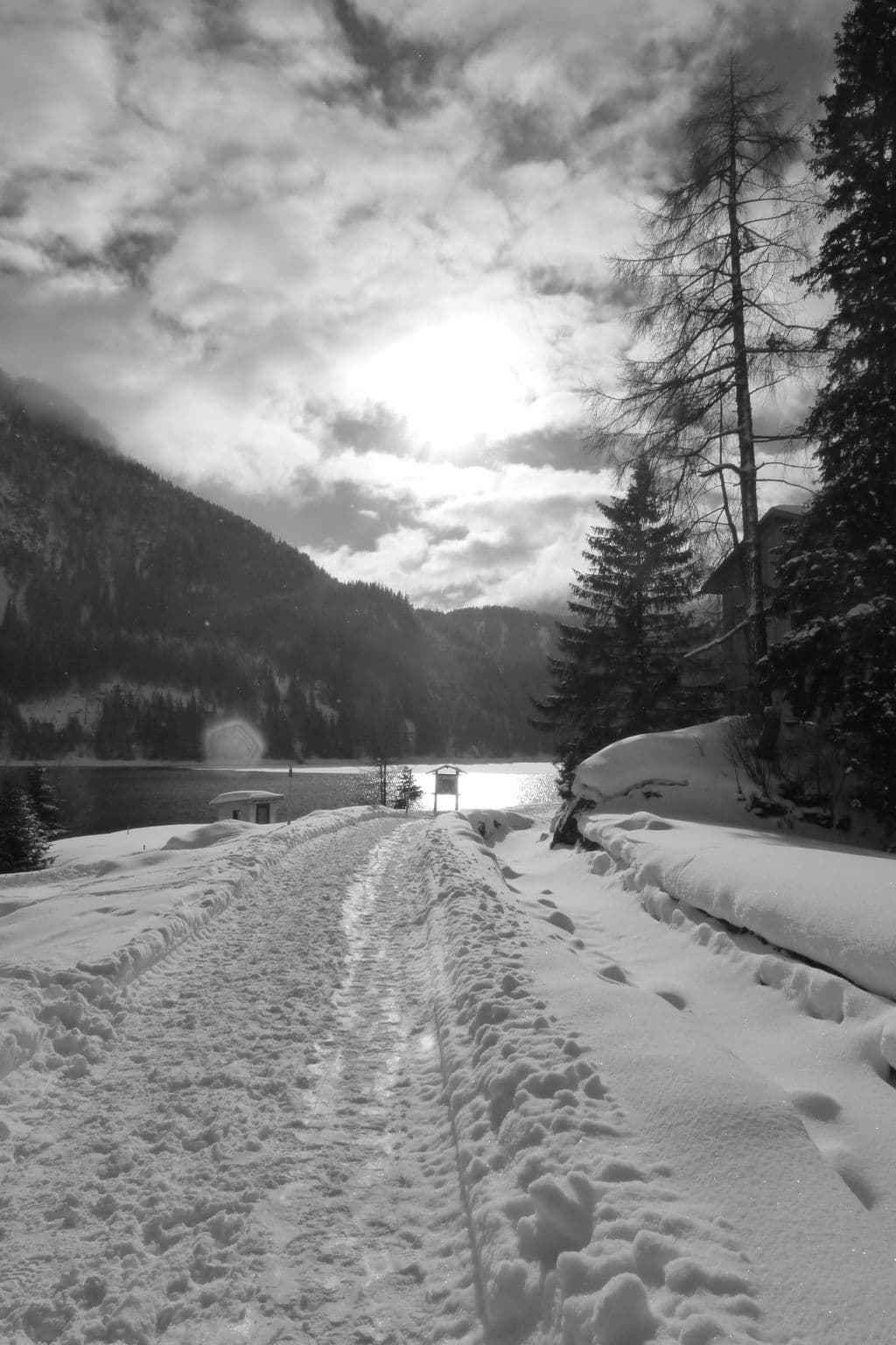 Gallery Image 21