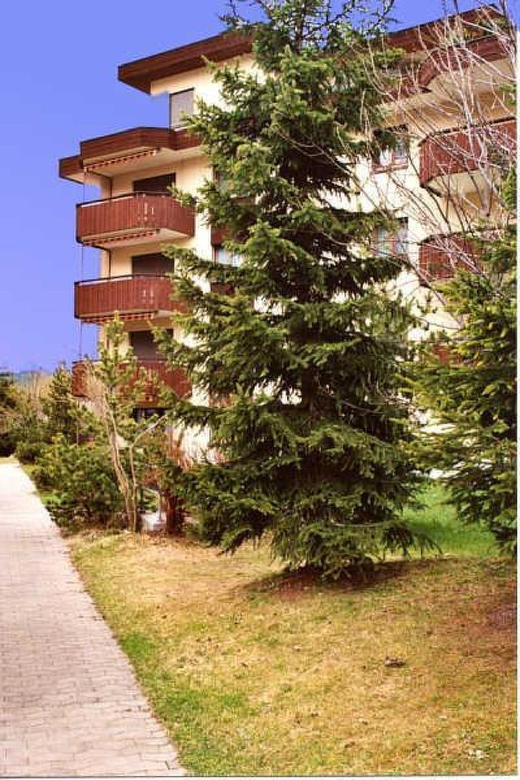 Gallery Image 12