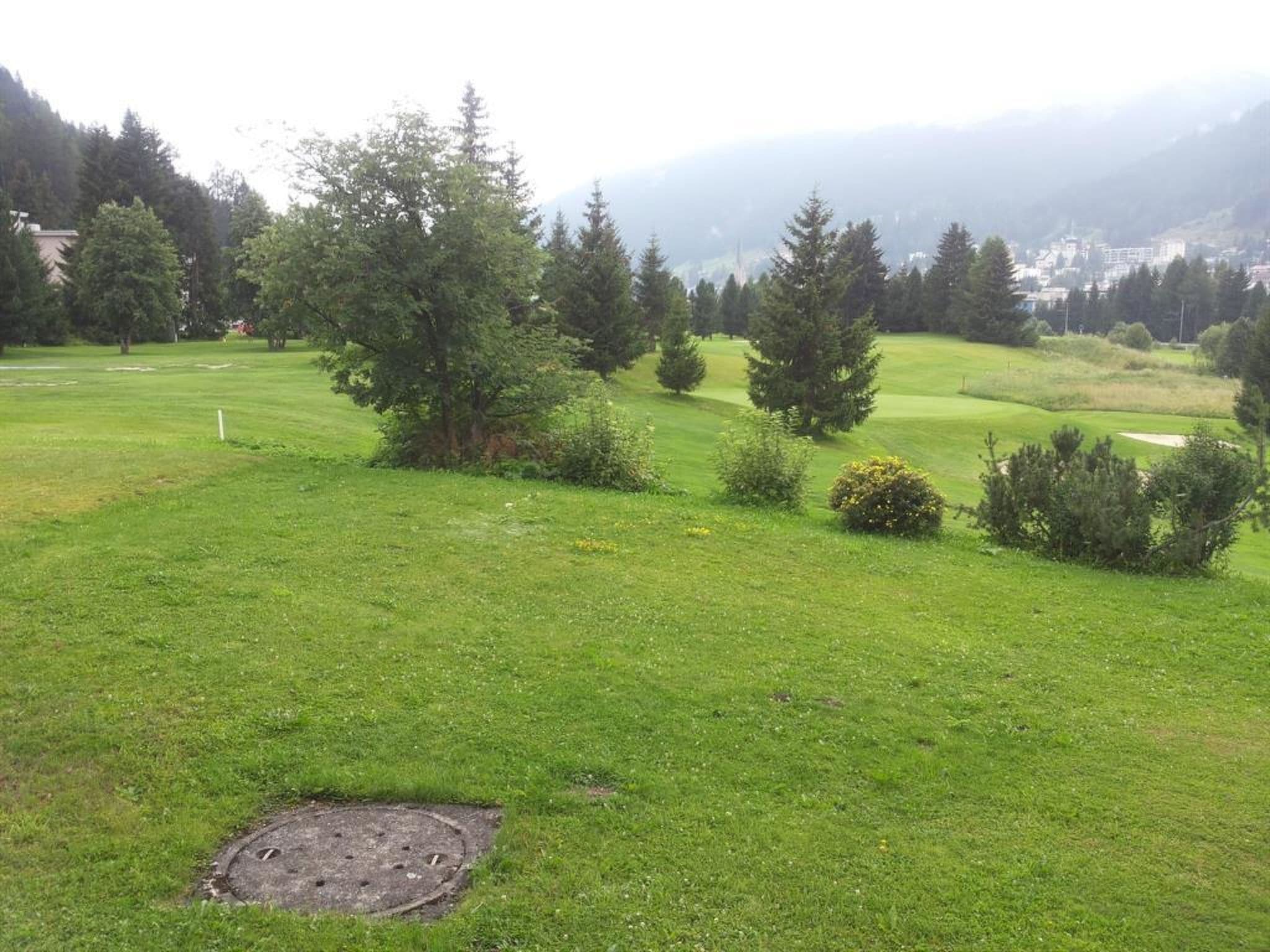 Gallery Image 8