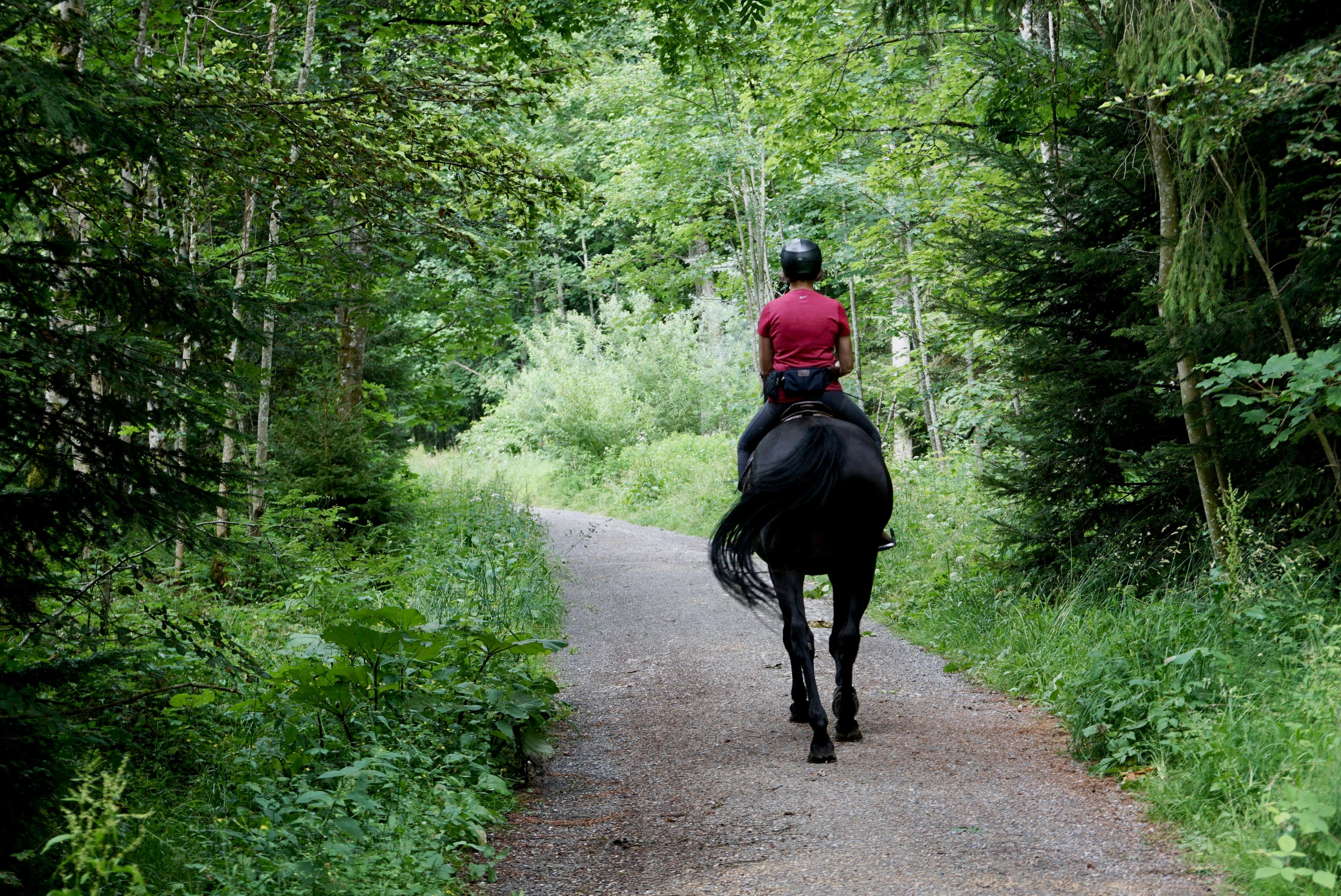 [Tourtistic attraction] Horse riding