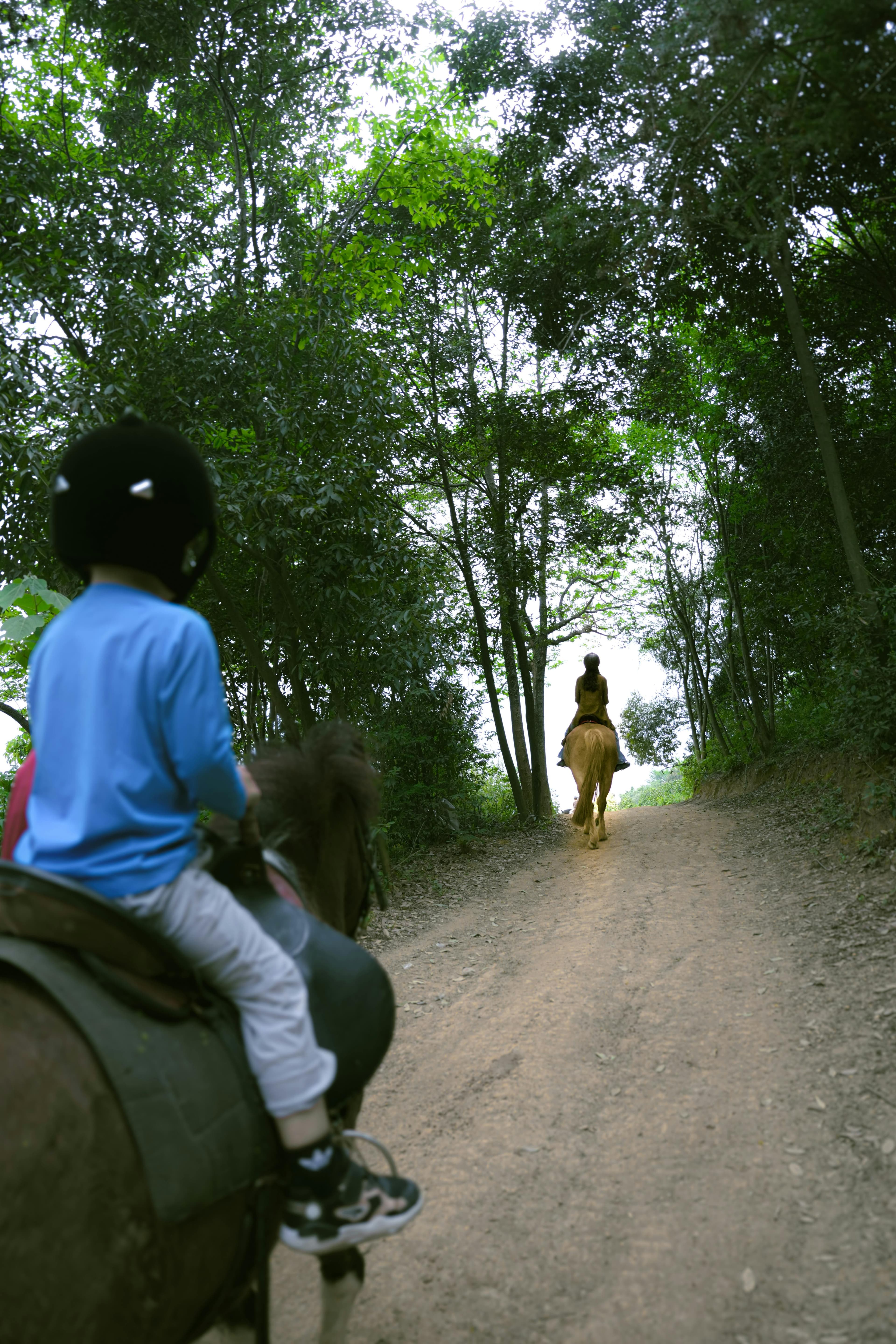 [Tourtistic attraction] Horse riding
