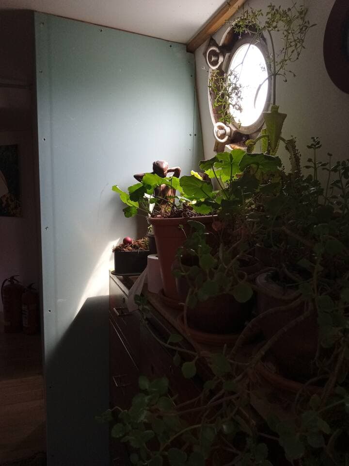 Gallery Image 14