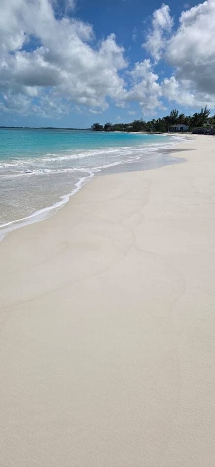 Beachfront on Tar Bay
