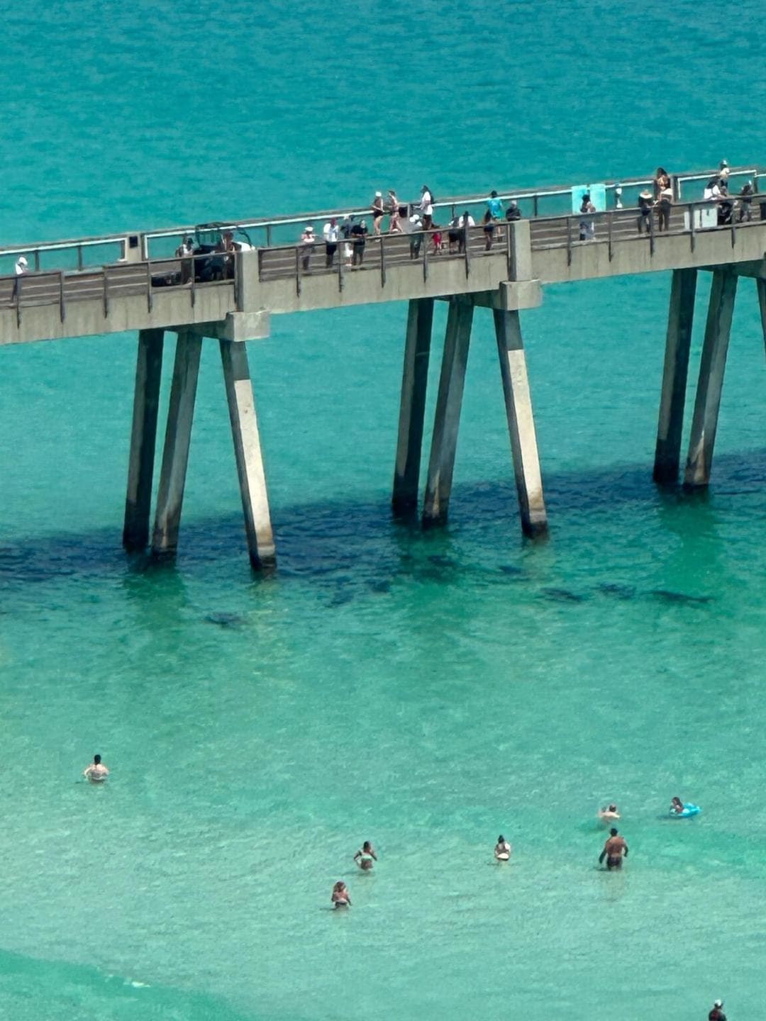 Pier with Manatees
