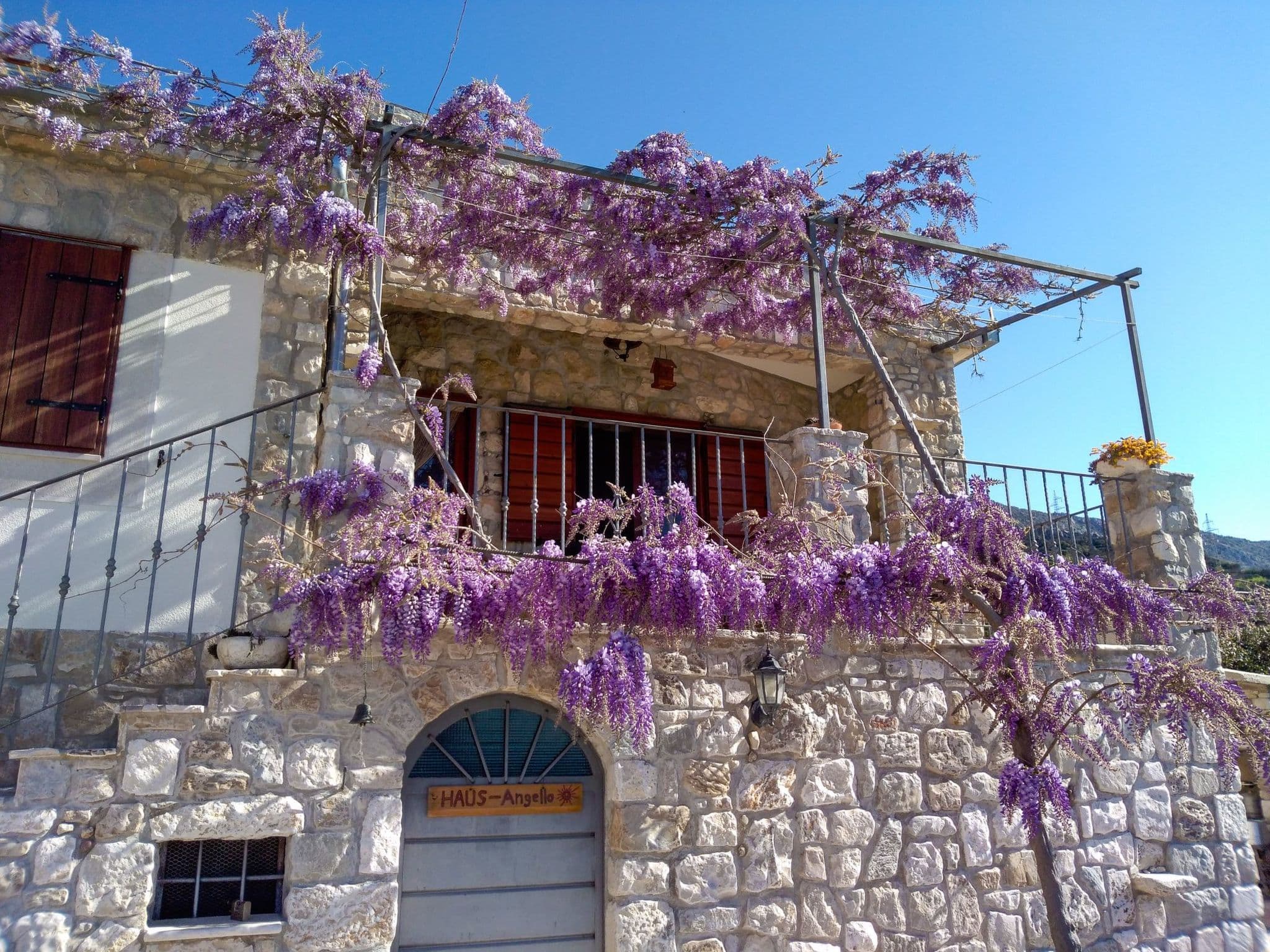 Gallery Image 14