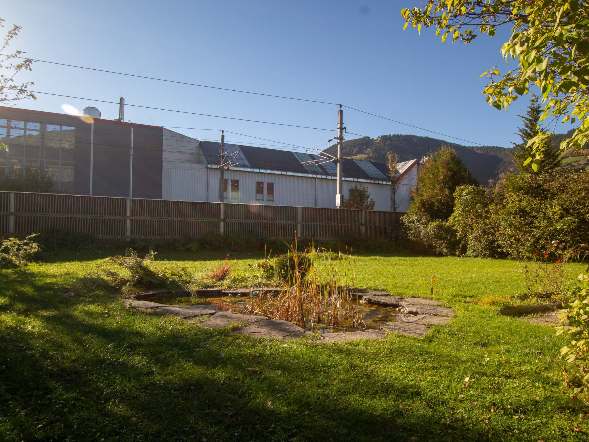 Gallery Image 4
