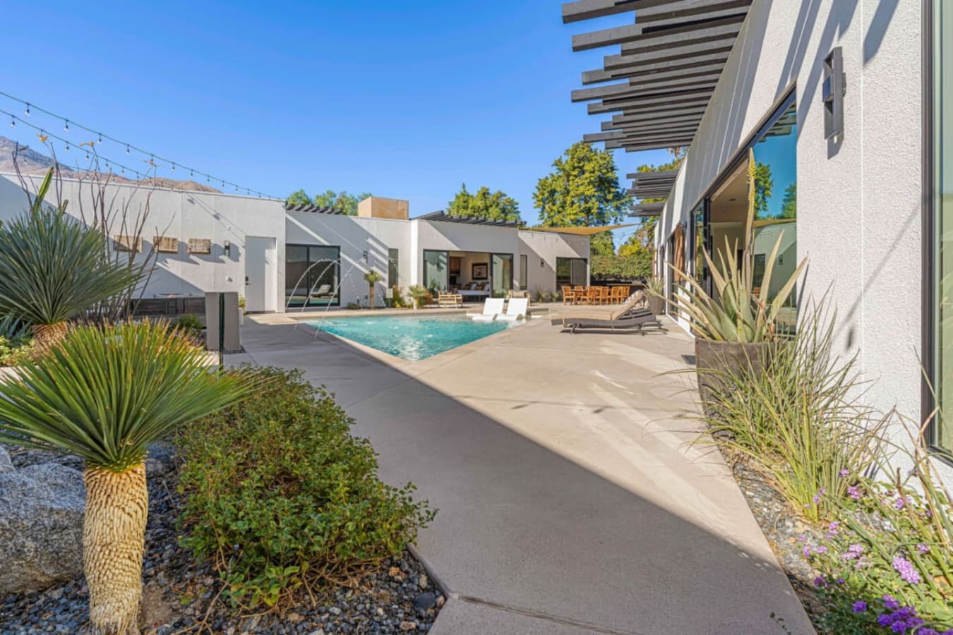 Sunlit entry walkway framed by desert plants, textured walls, and crisp modern architecture.