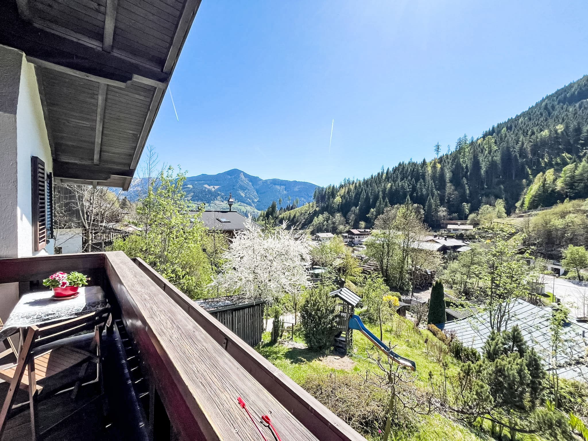 View