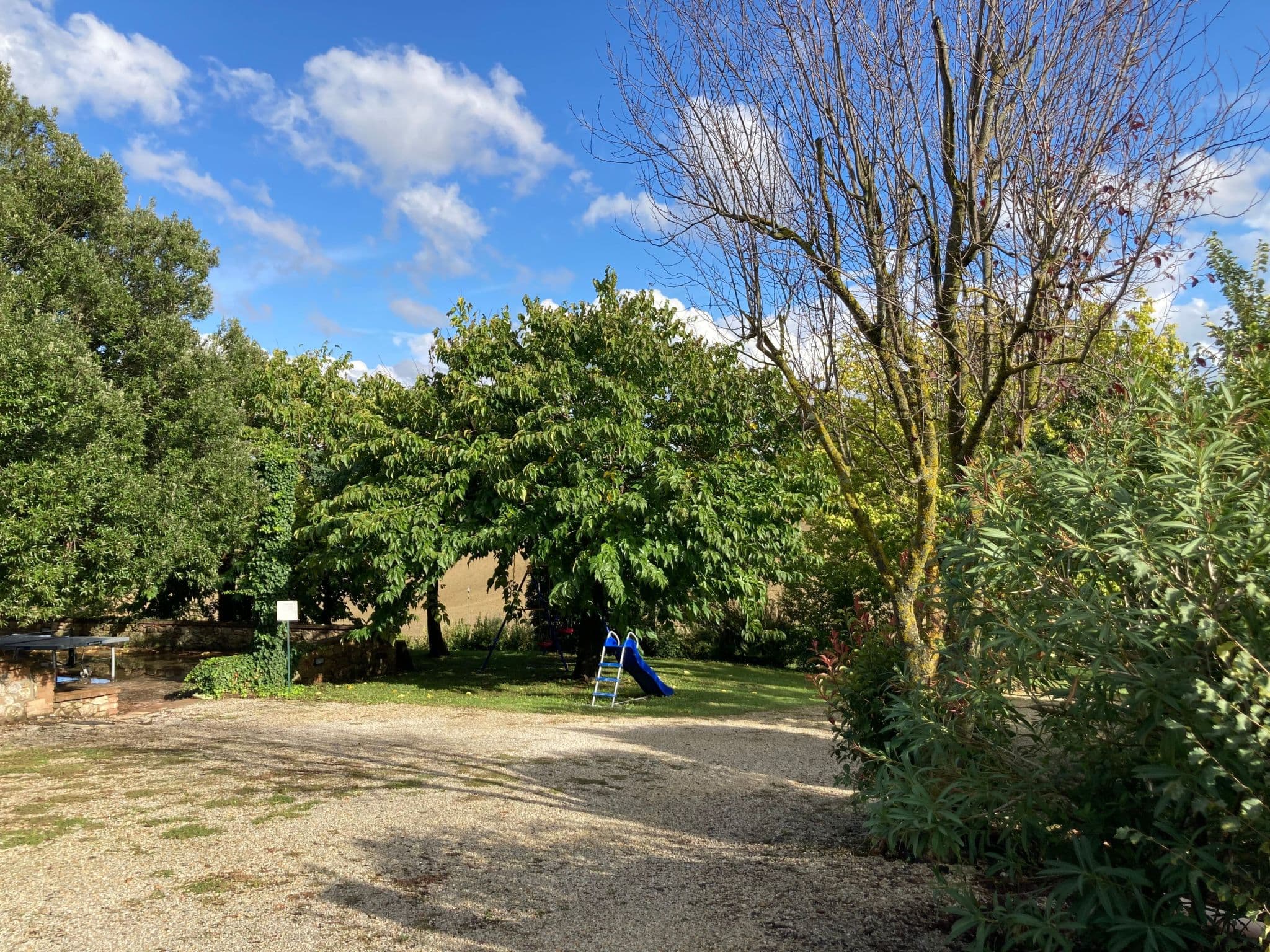 Gallery Image 14