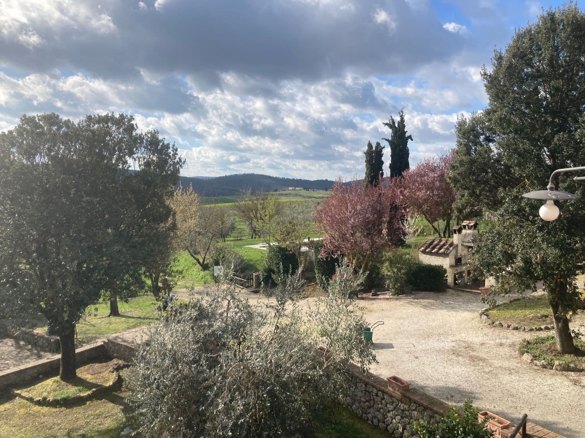 Gallery Image 16