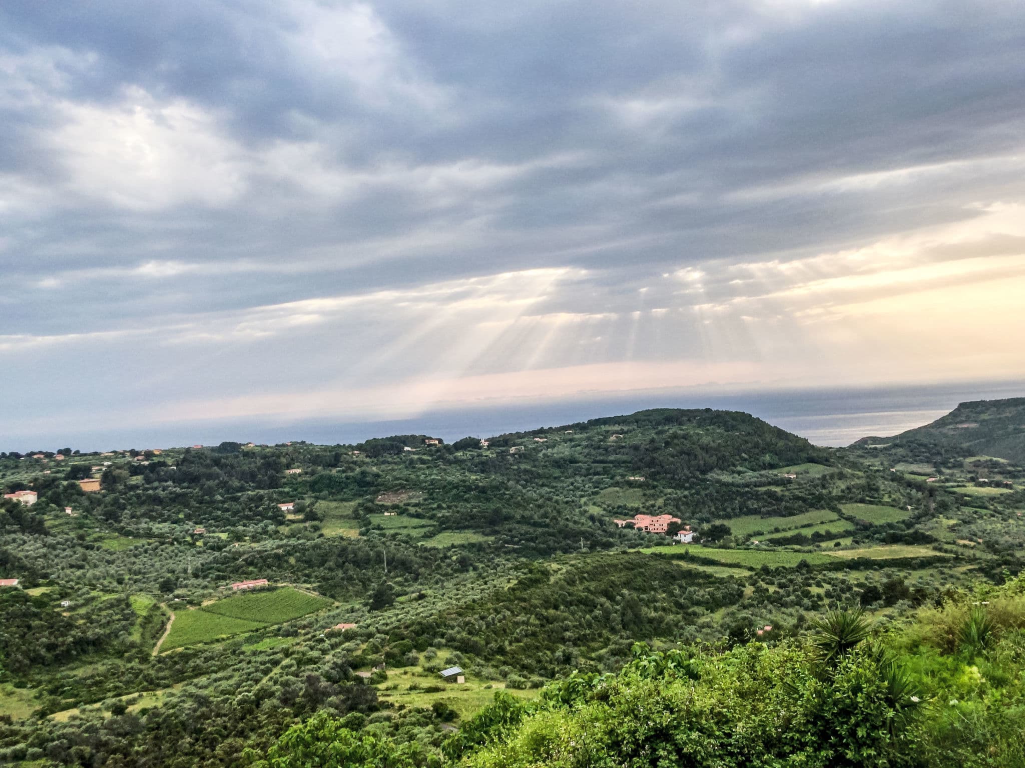 View