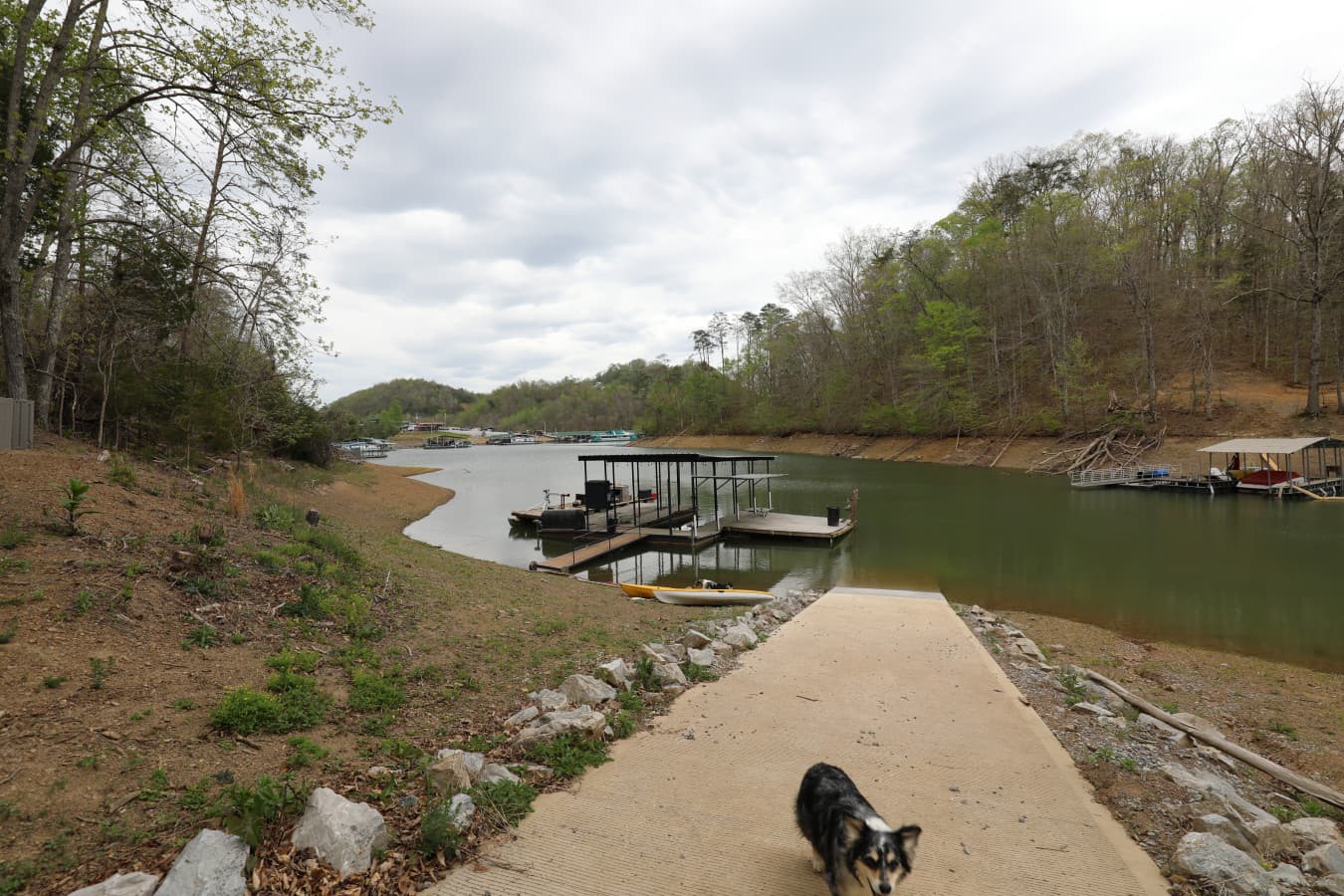 Dock and Launch.JPG
