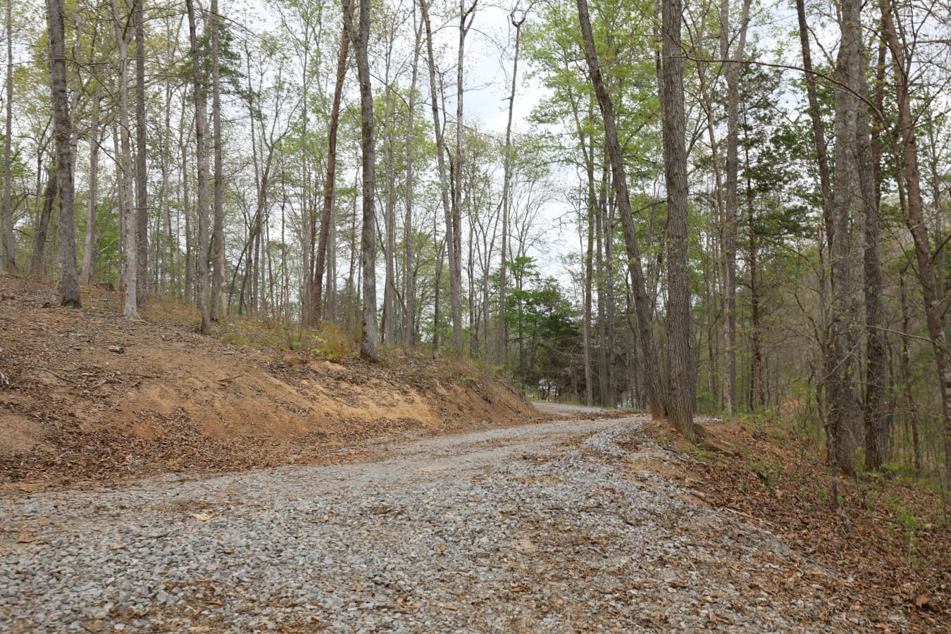 Zen Island Way Lake lane.JPG