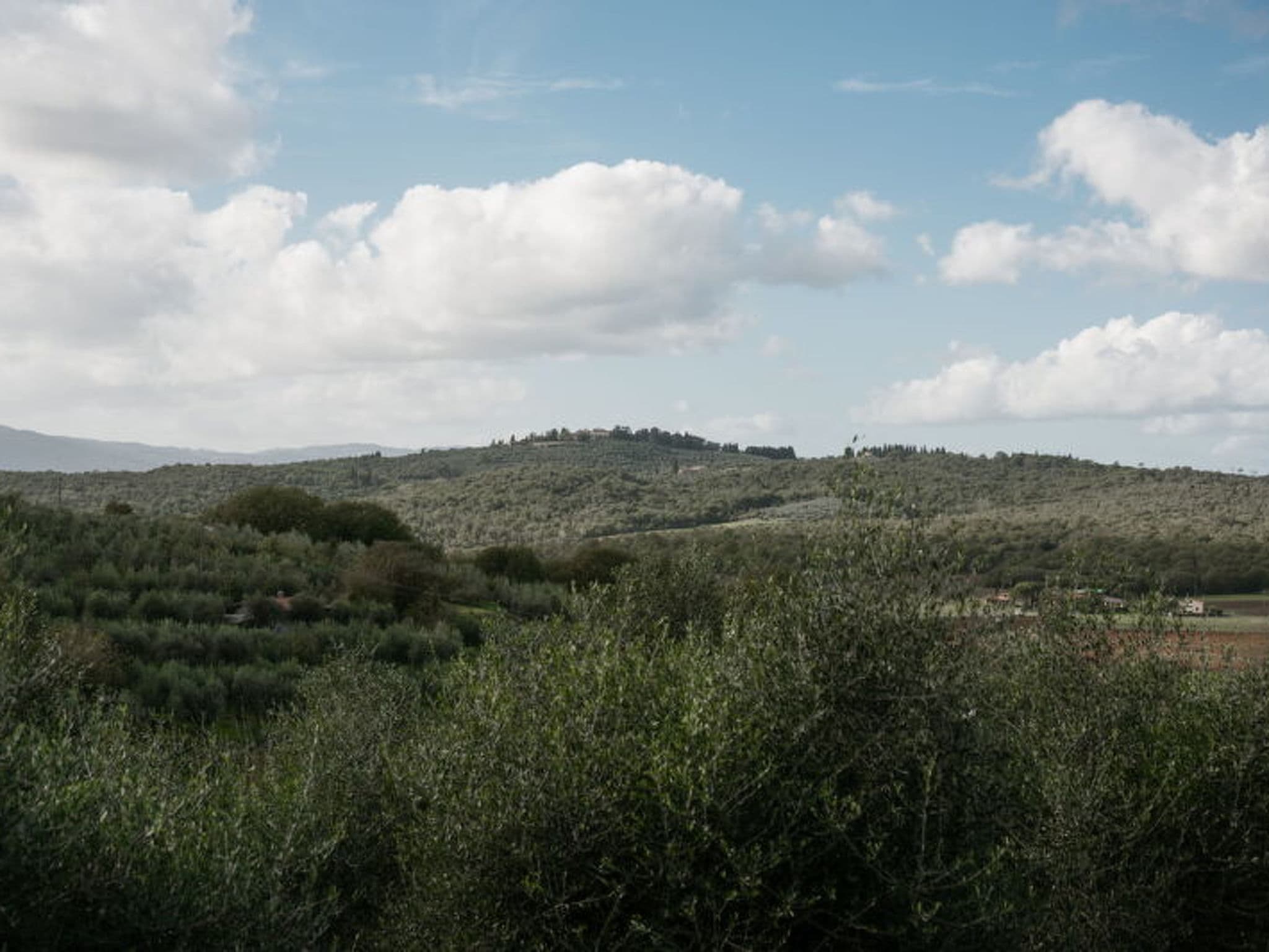 Gallery Image 35
