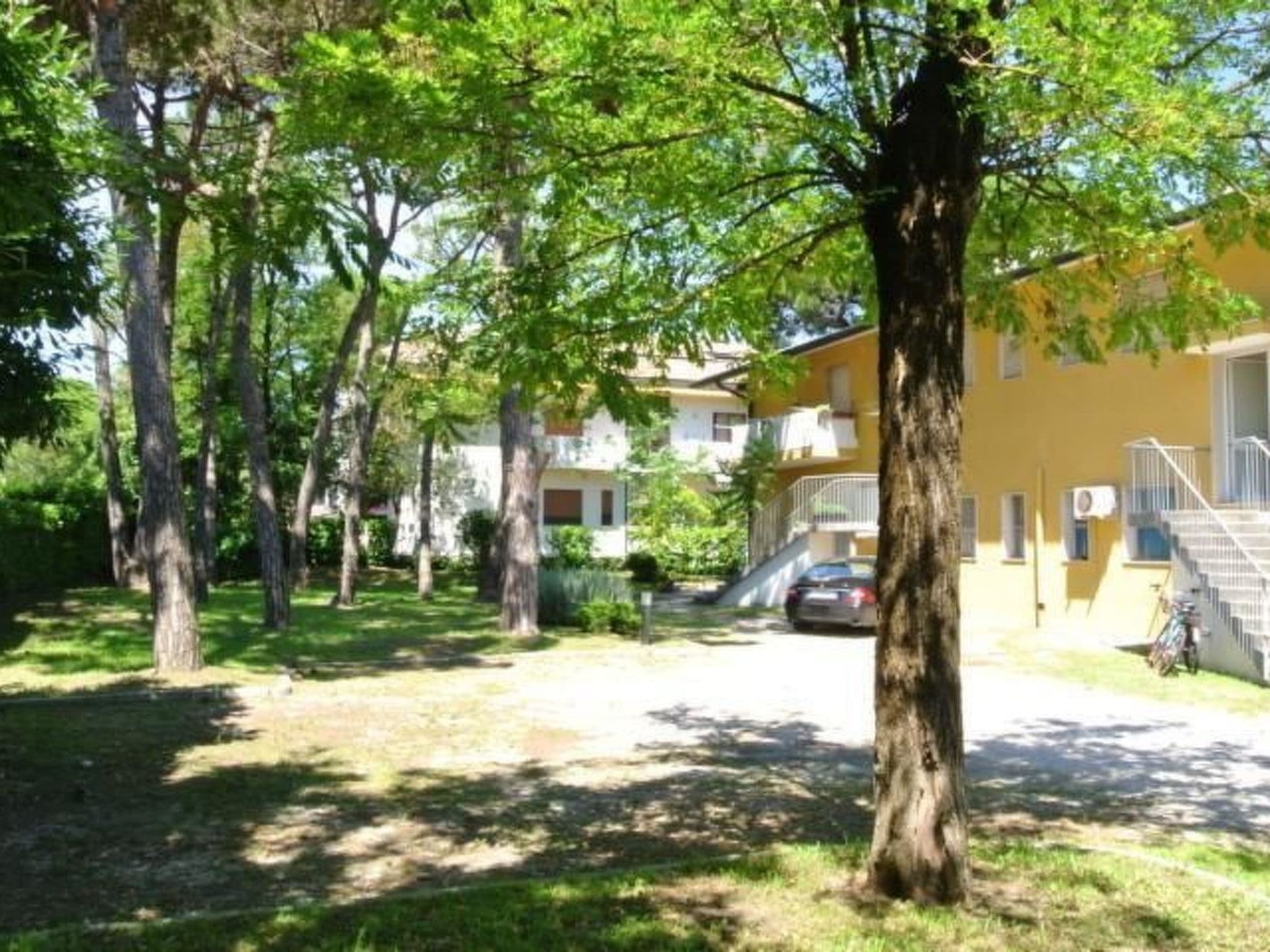Gallery Image 14
