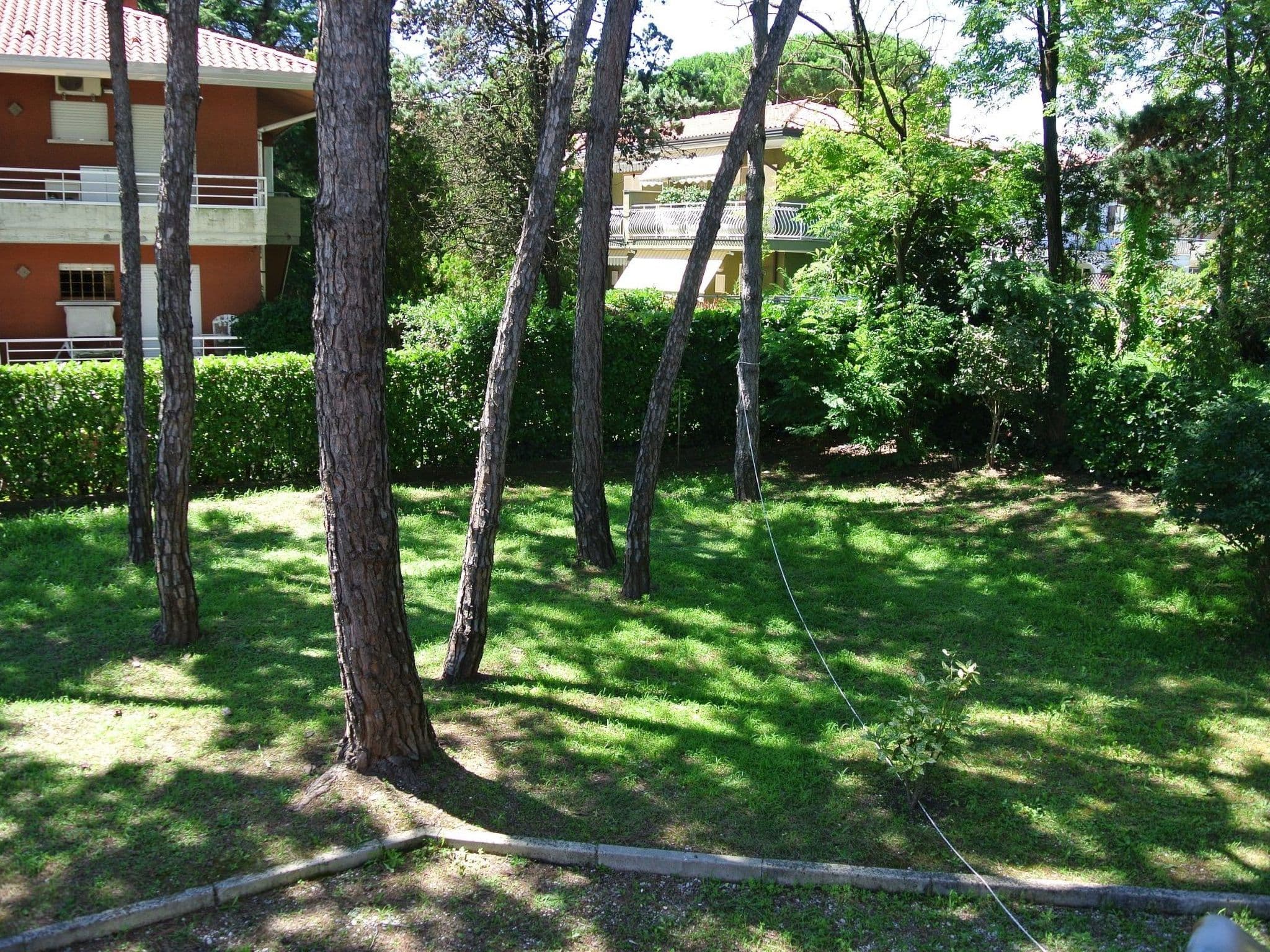 Gallery Image 16