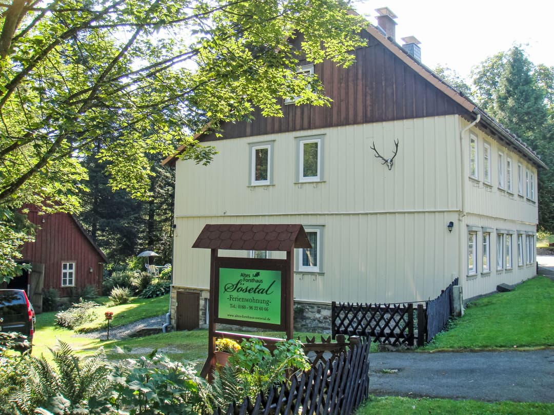 Large Image
