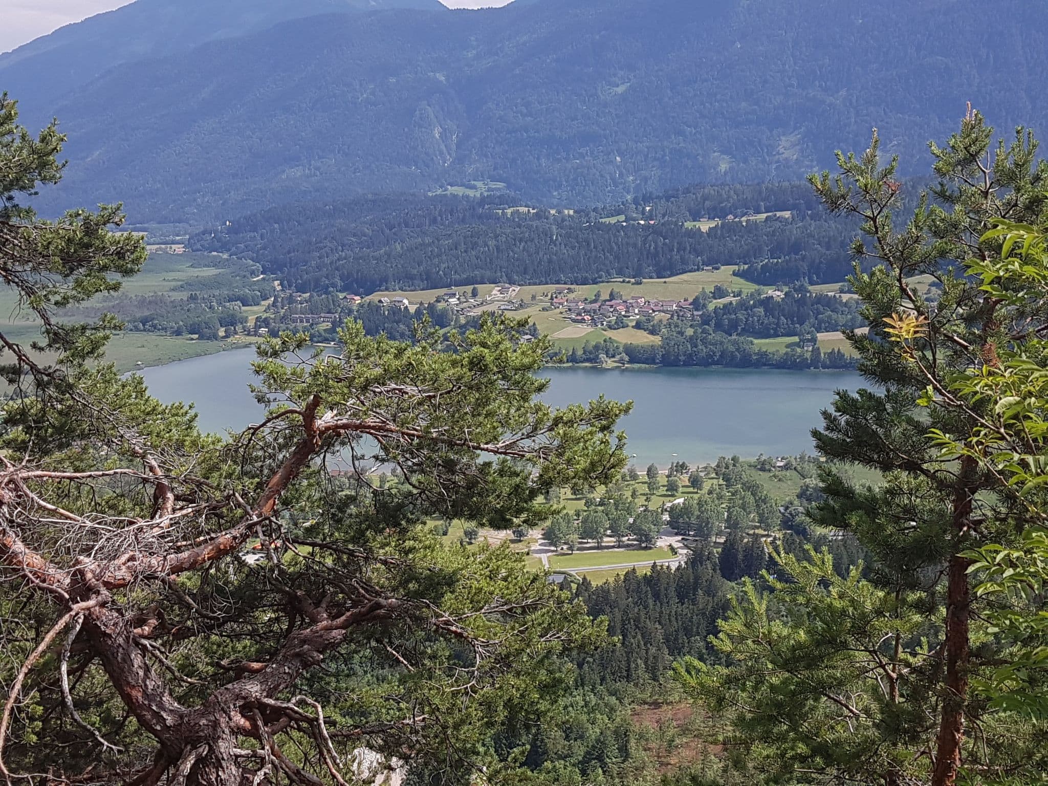 View