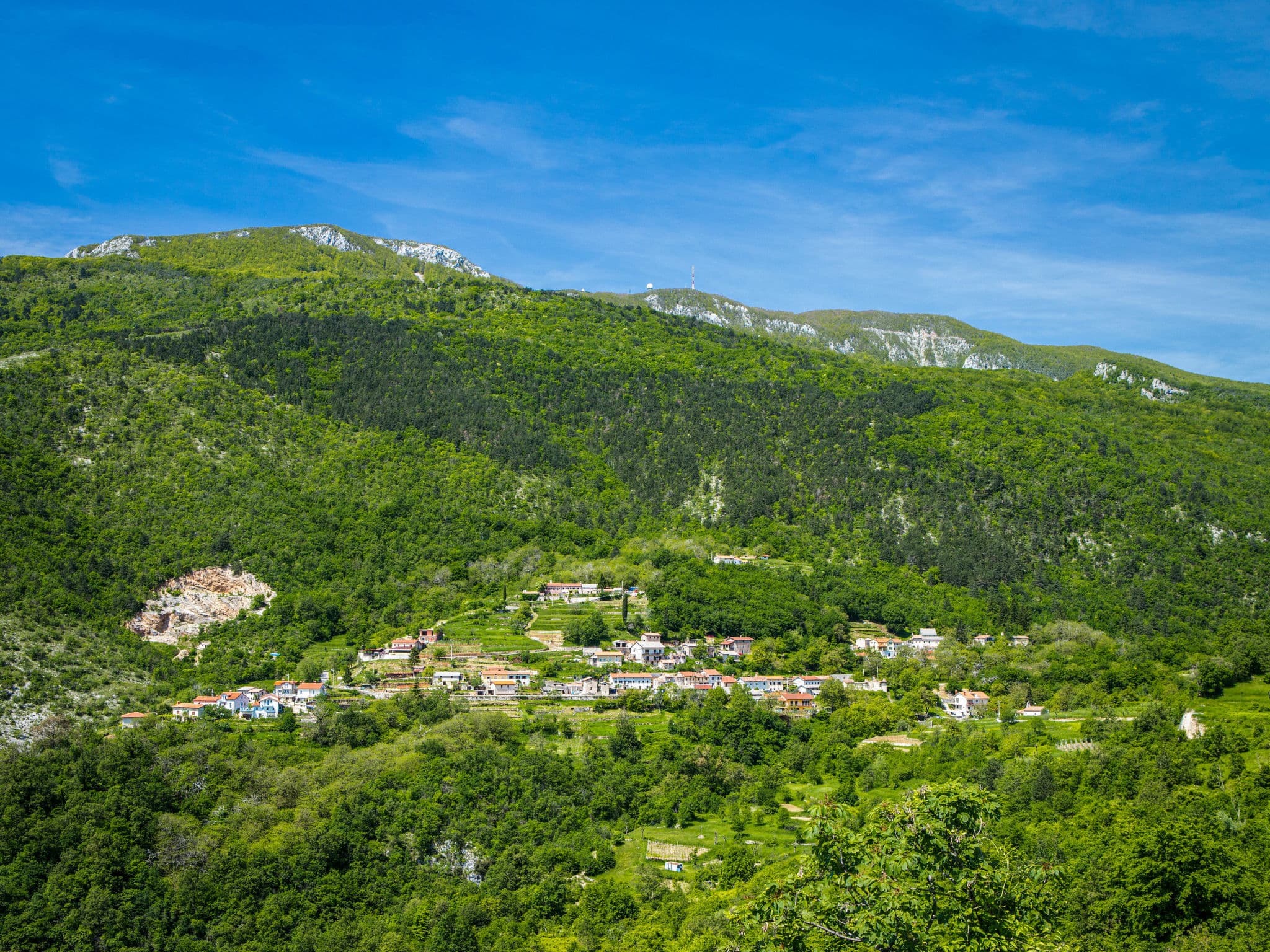 View
