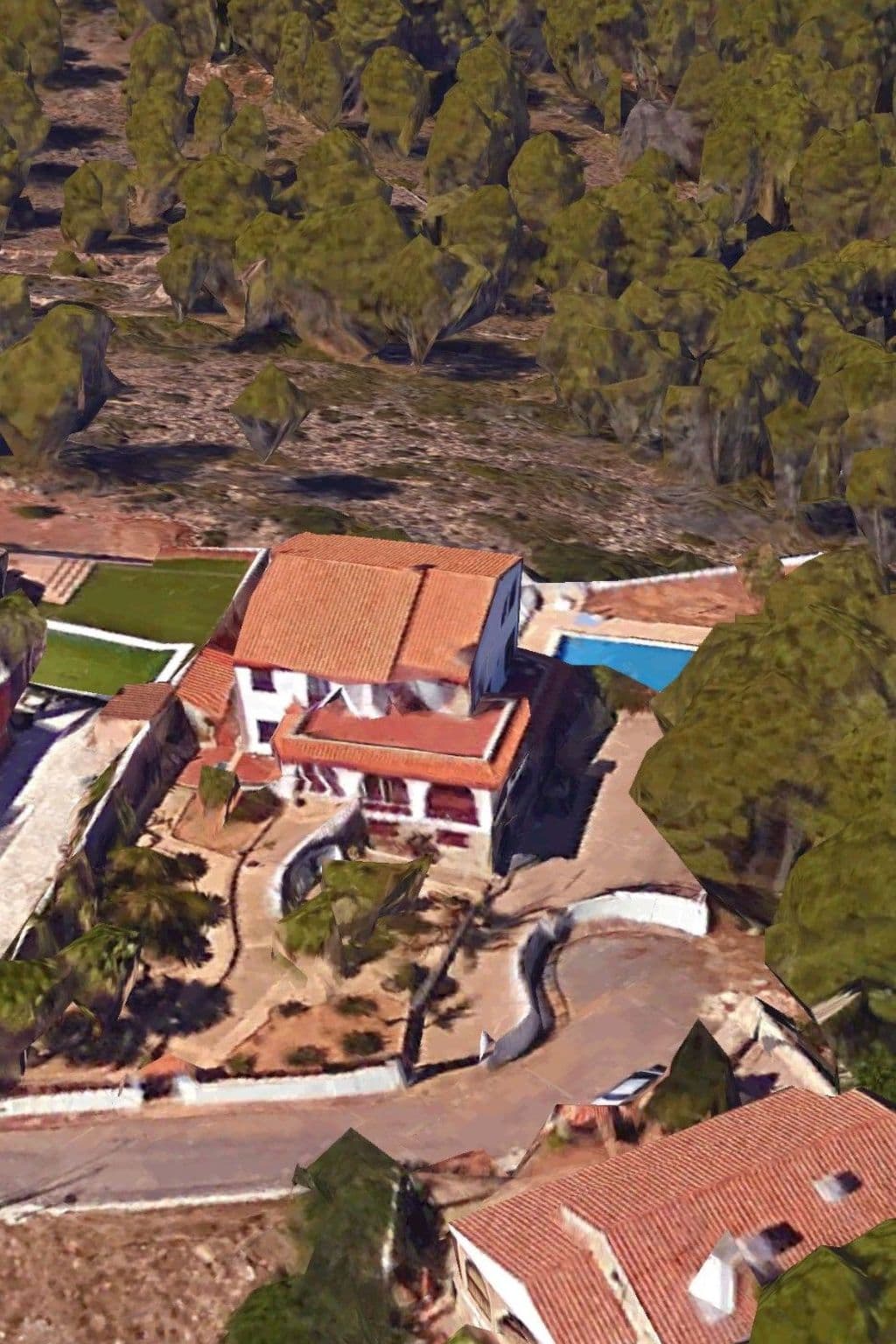 Large Image