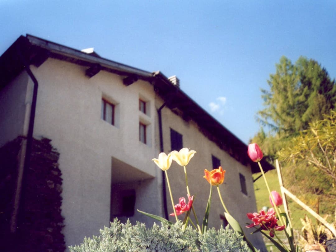 Large Image