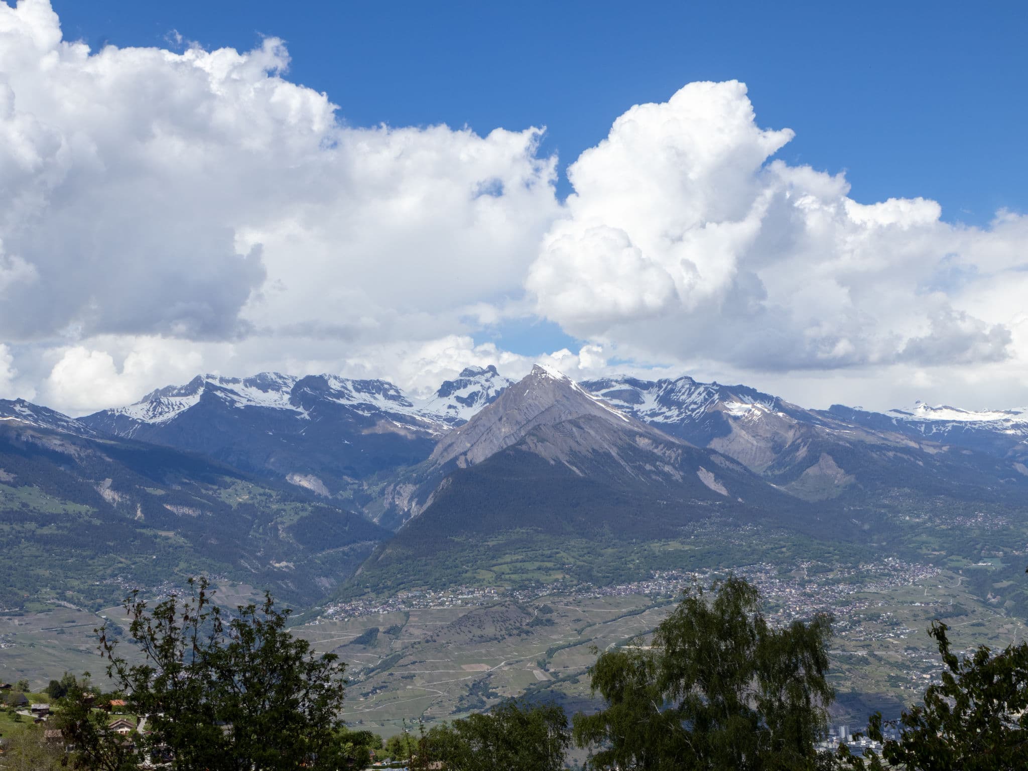 View