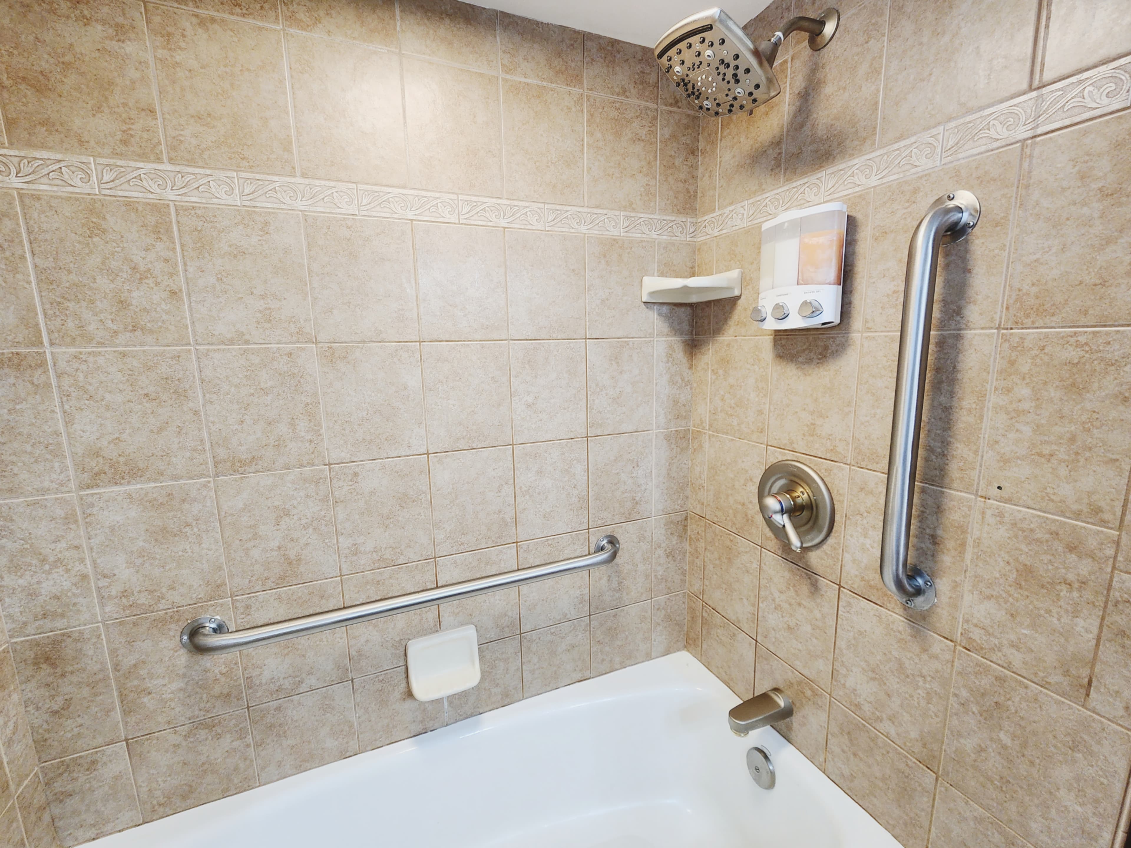 Main Floor Bath with Handicap Bars