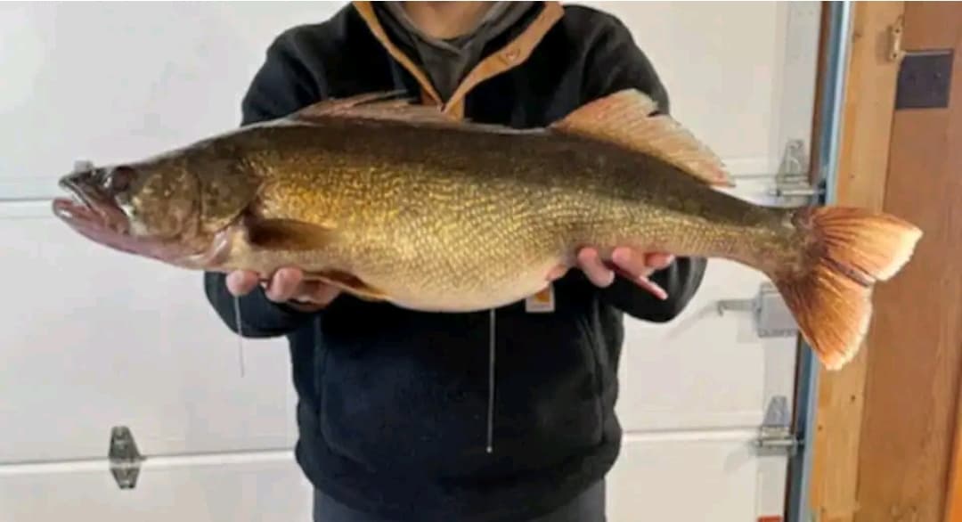 Premium fishing just steps away