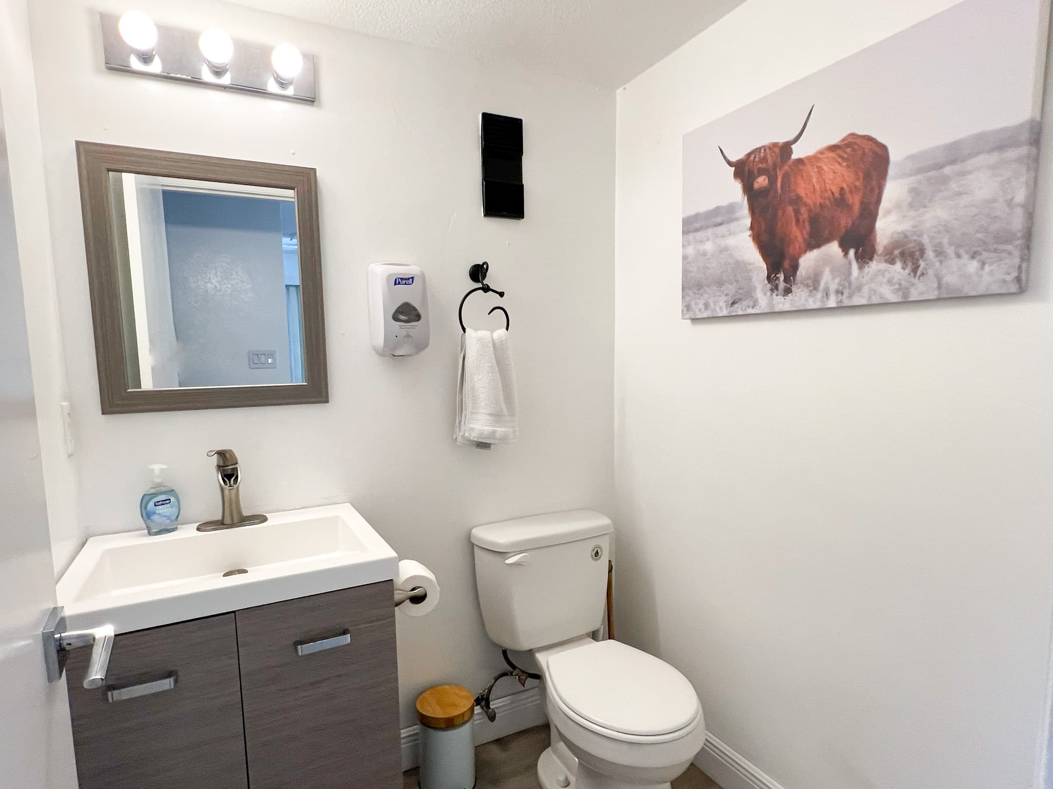 Downstairs Half Bath