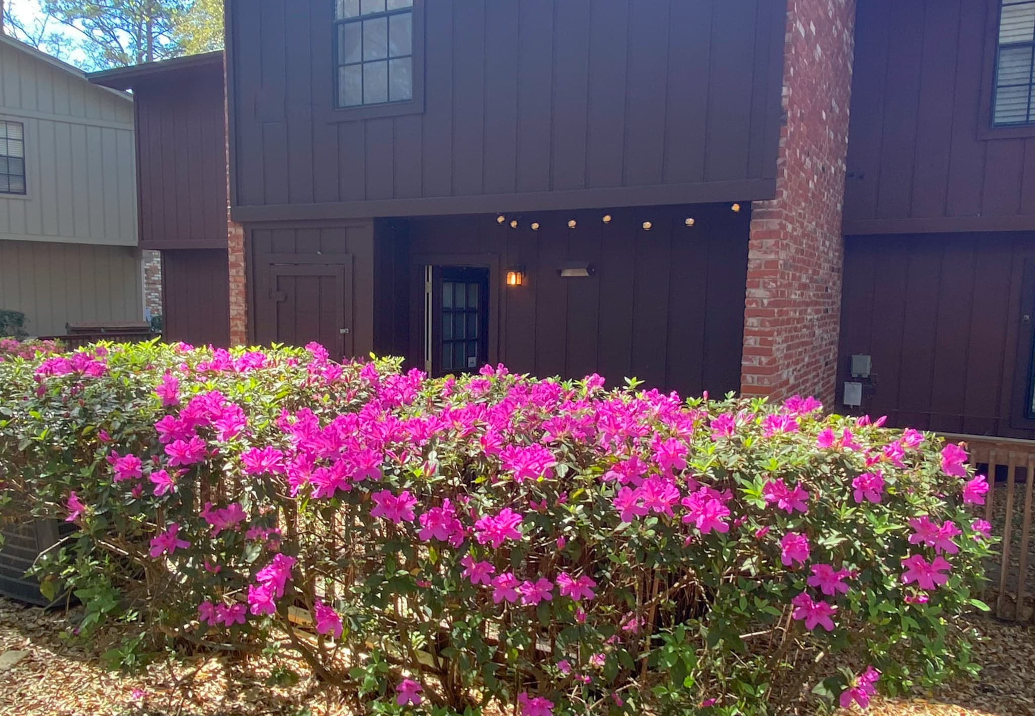Back Porch